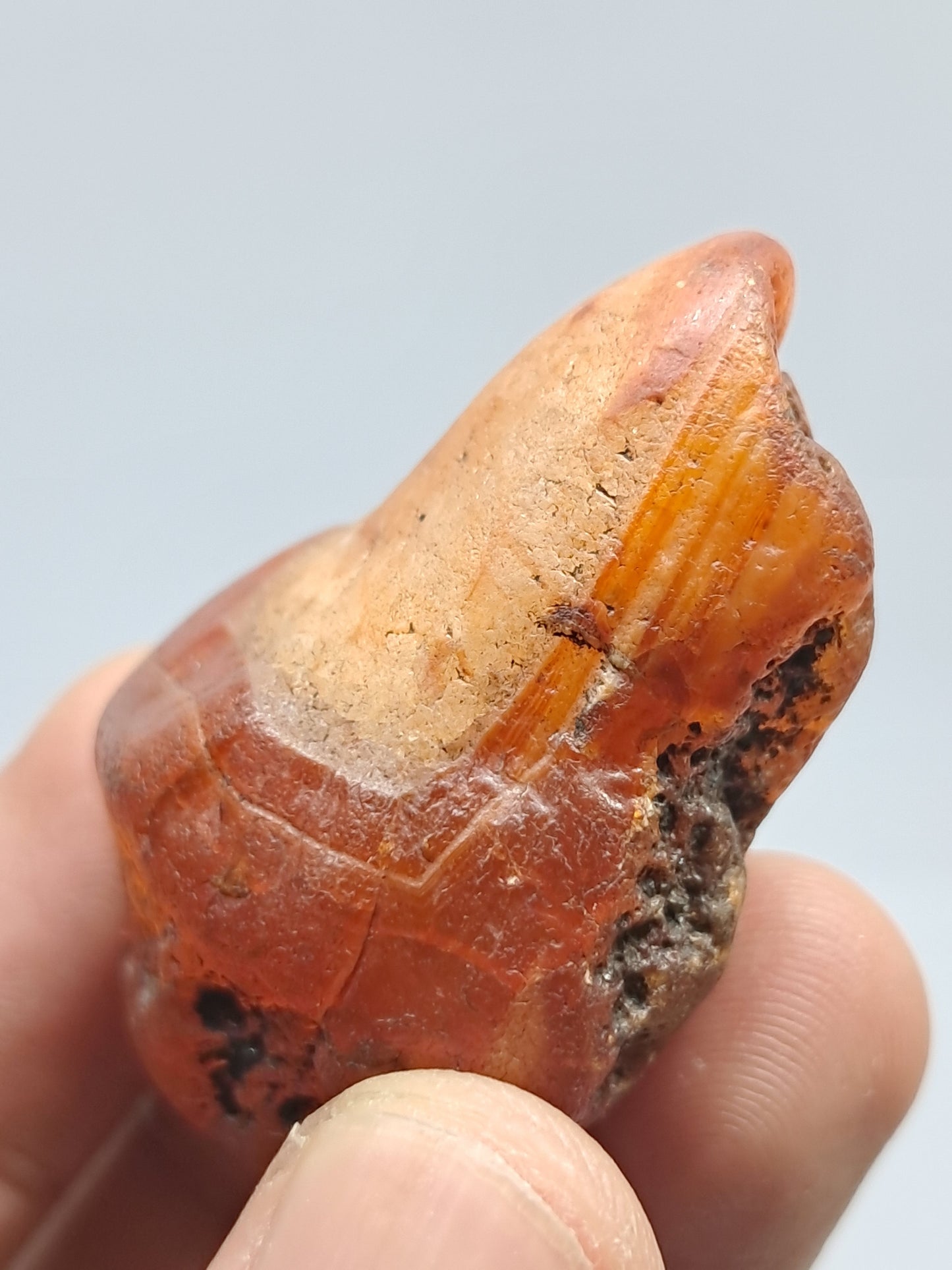 Rough Carnelian (India) Raw Stone | Natural Crystal | Mineral Specimen #CRN7