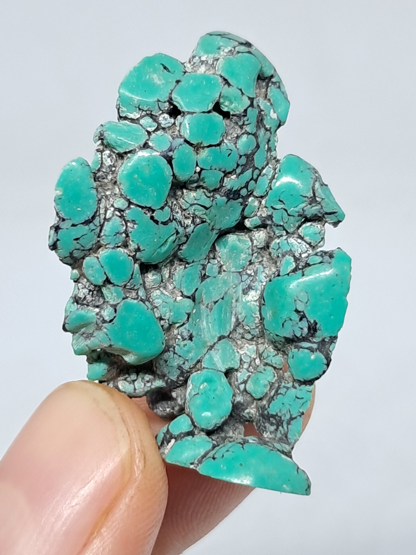 Tibetan Turquoise Stabilized Natural Stone | Mineral Specimen #TT4