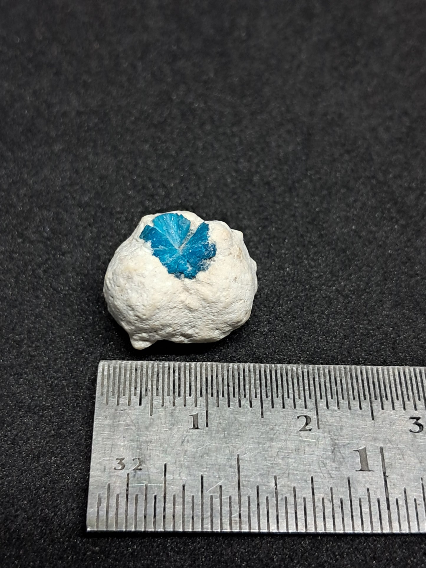 Floater Cavansite in Small Okenite Ball #CV21