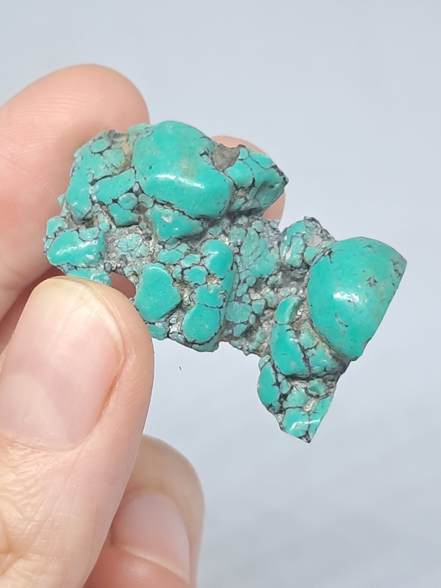 Tibetan Turquoise Stabilized Natural Stone | Mineral Specimen #TT9