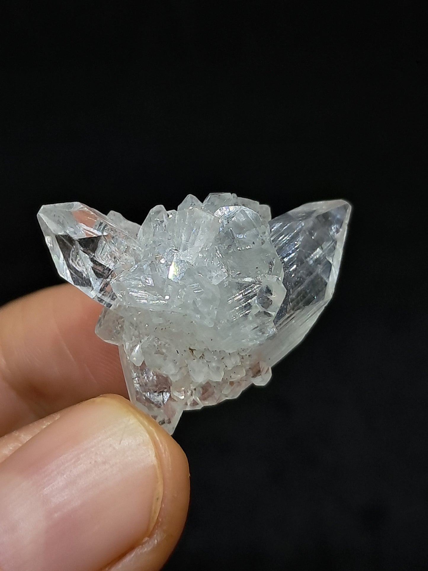 Clear Apophyllite Cluster (Ajanta) Natural Crystal | Mineral Specimen #AP59