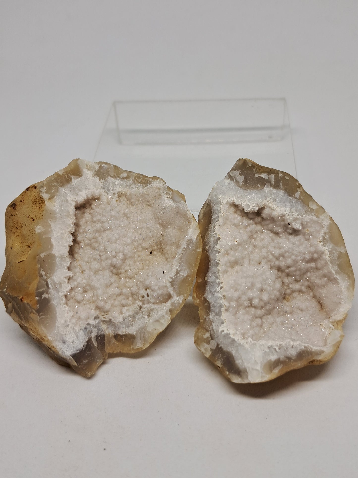 Botryoidal Chalcedony Geode (Ajanta) Rough Stone | Natural Crystal #GD10