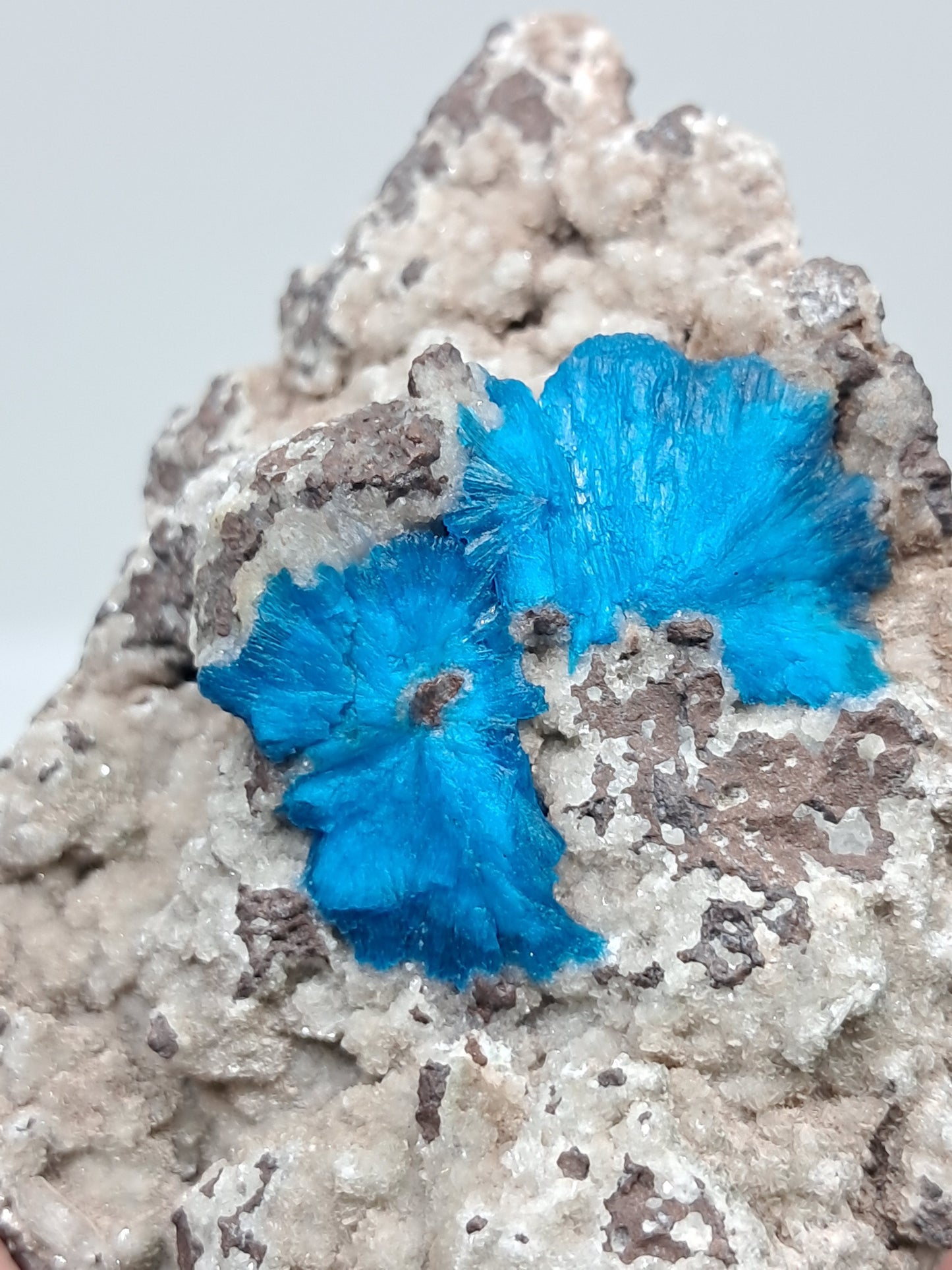 Cavansite on Heulandite Matrix (Wagholi) Rough Stone | Natural Crystal | Rare Mineral Specimen #CV33