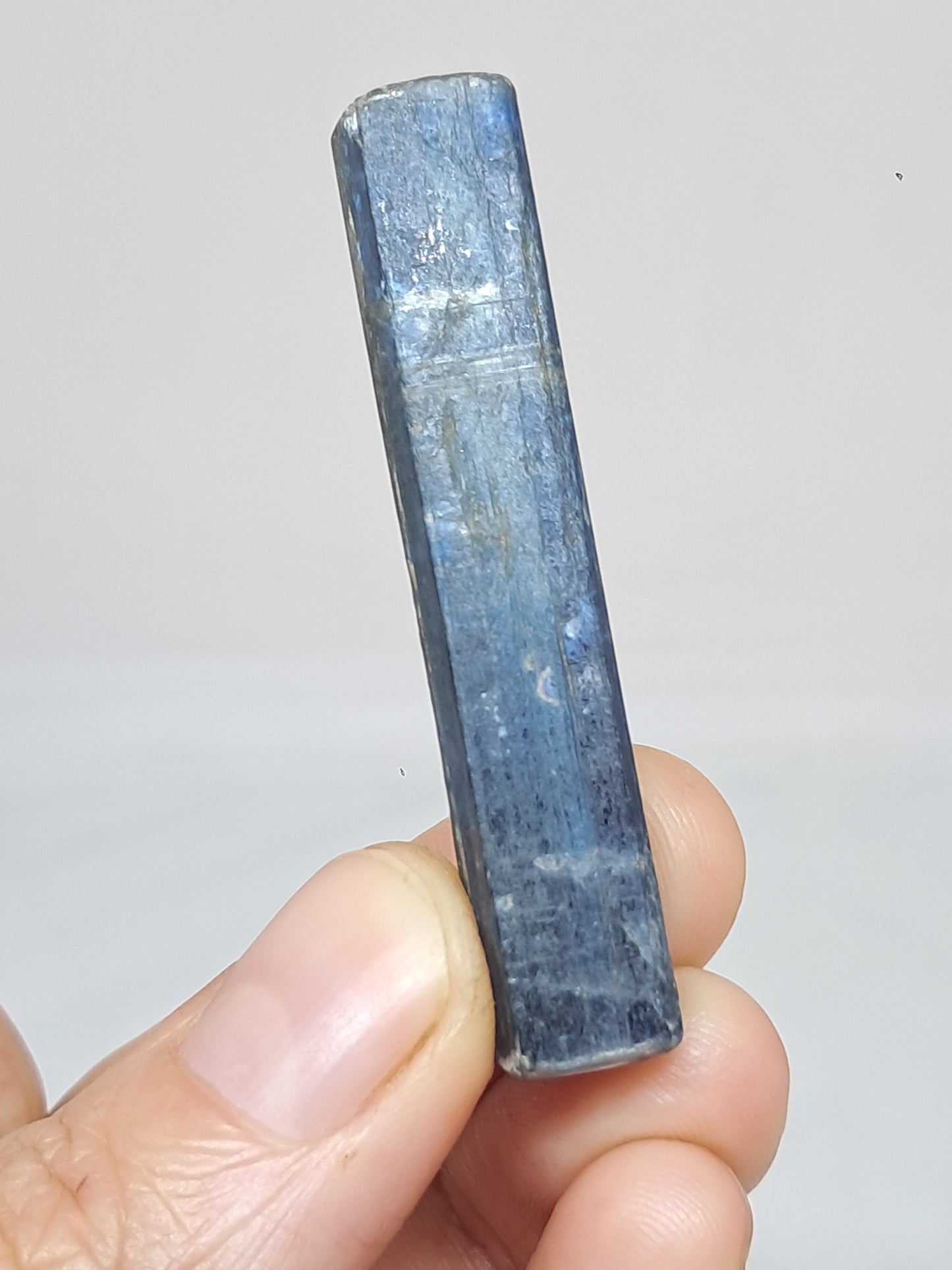 Blue Kyanite (Nepal) Natural Crystal #KY12