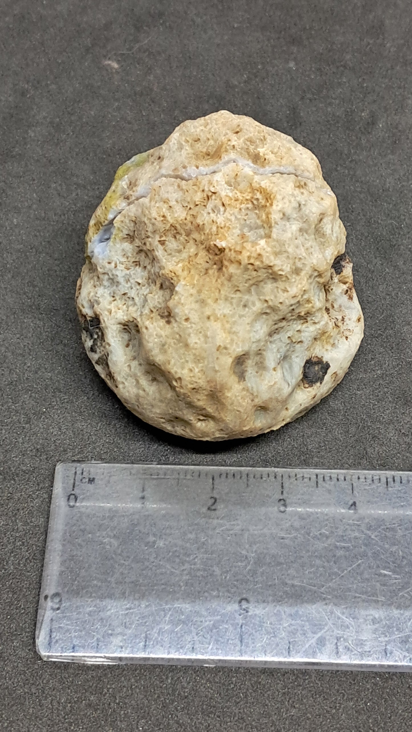 Amethyst Geode (Ajanta) | Deep Cavity | Natural Crystal | Rough Stone #GD34