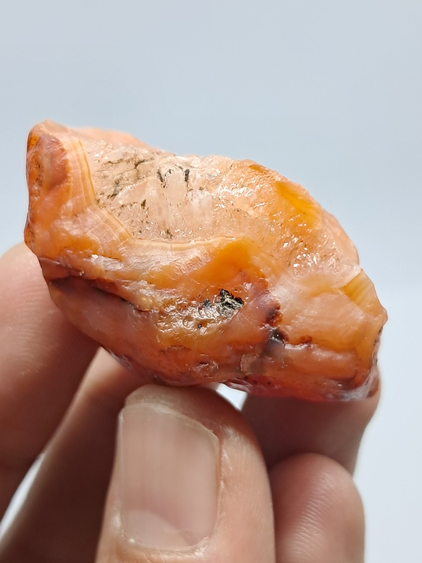 Rough Carnelian (India) Raw Stone | Natural Crystal | Mineral Specimen #CRN5