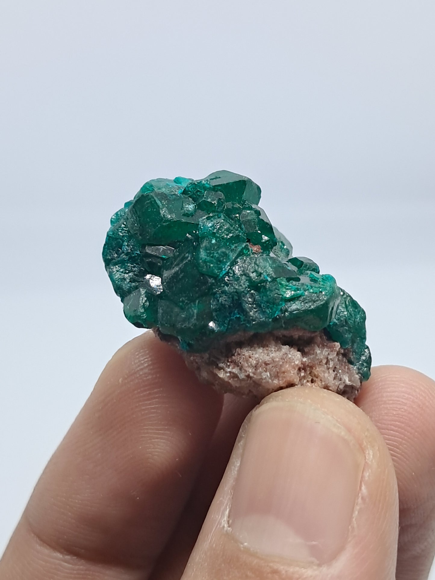 Dioptase (Democratic Republic of Congo) Natural Cluster | Rough Crystal | Mineral Specimen #DPT9