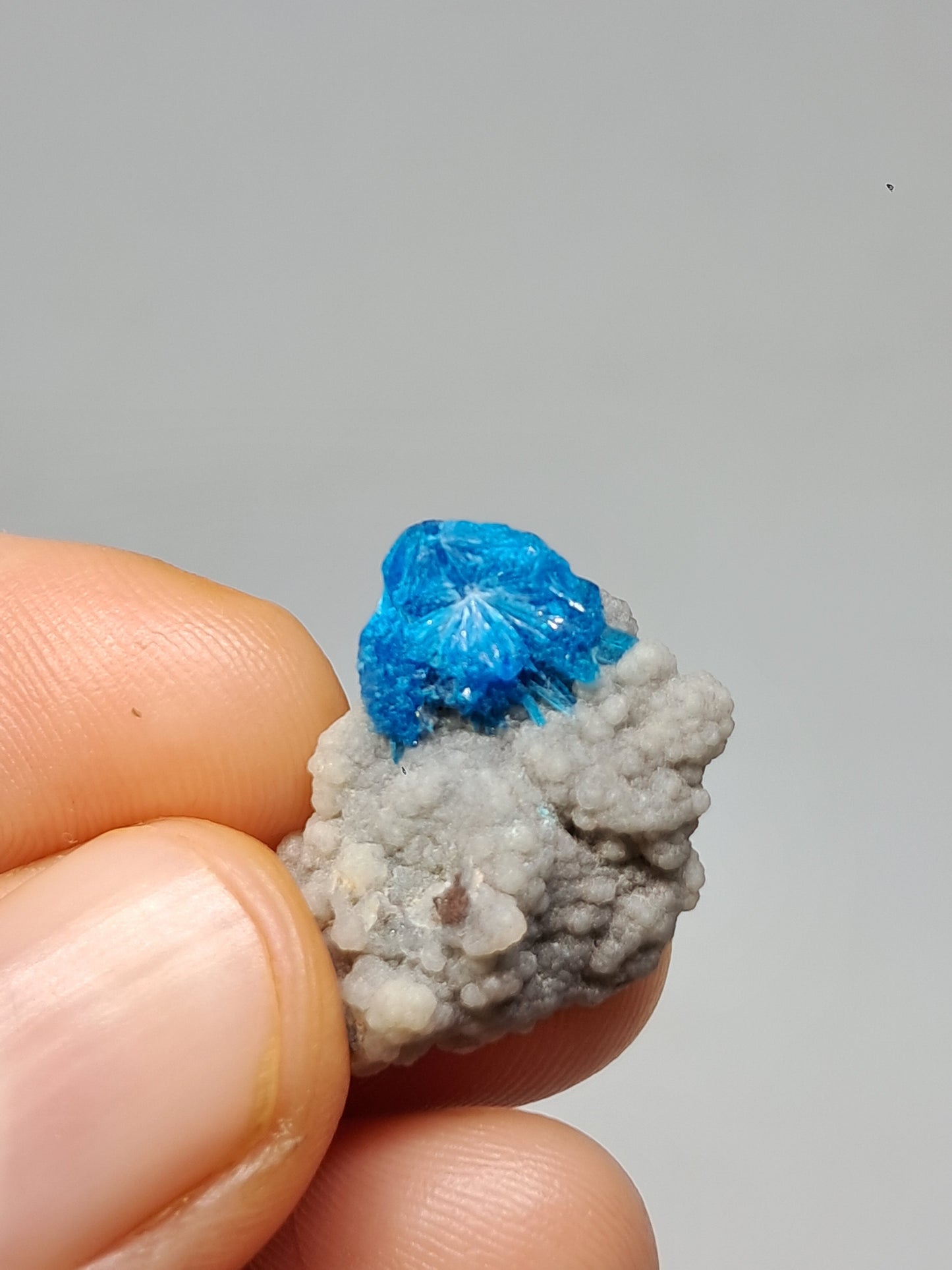 Set of Cavansite & Pentagonite on Matrix (Wagholi) Rough Stone | Natural Crystal | Rare Mineral Specimen #CV41