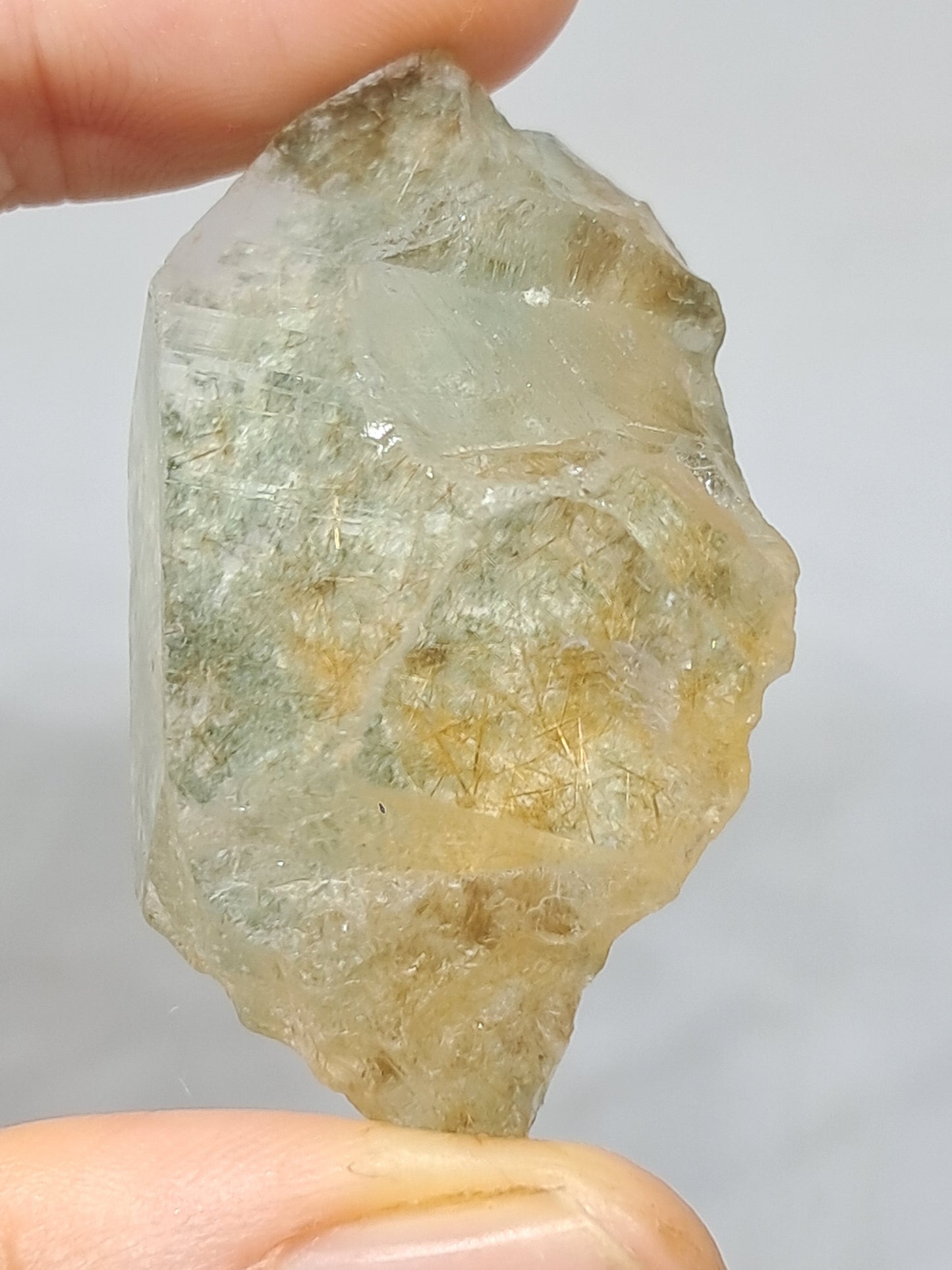 Quartz w/ Chlorite and Golden Rutile Inclusions (Himachal Pradesh) Rough Stone | Natural Crystal | Mineral Specimen #CH40