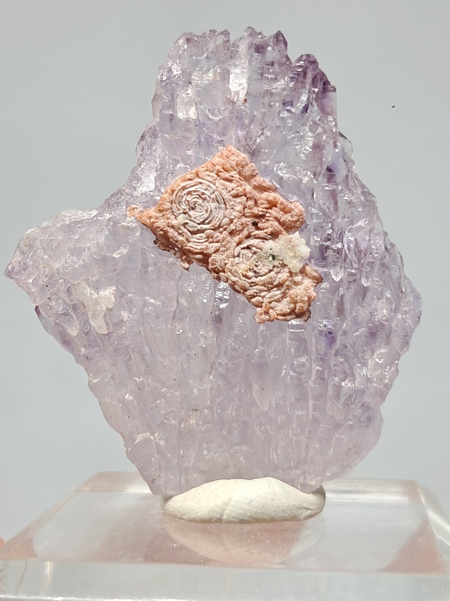 Amethyst Scepter Cluster w/ Goethite (Karur) Crystal Quartz Point | Natural Stone | Mineral Specimen #KA68