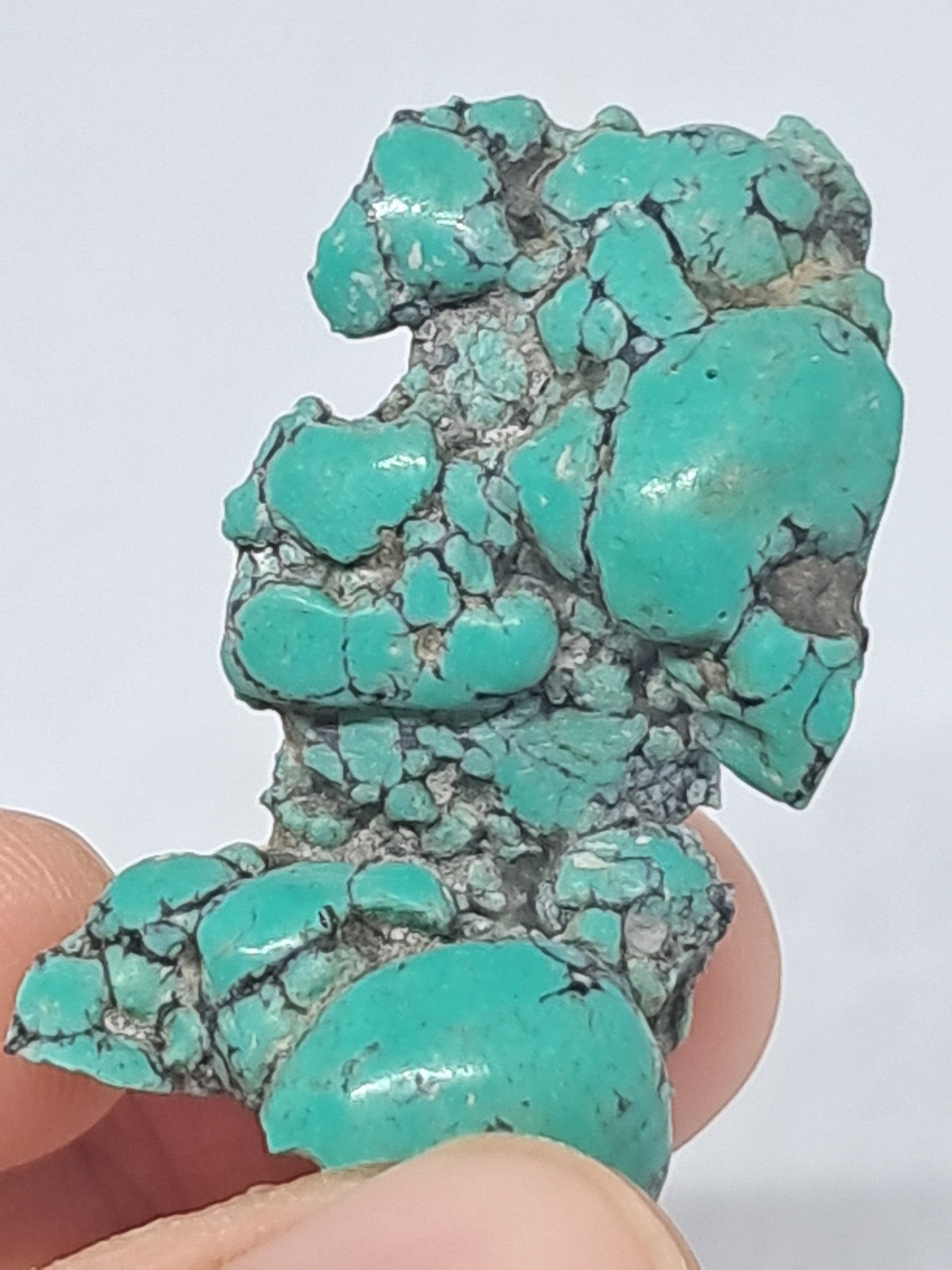 Tibetan Turquoise Stabilized Natural Stone | Mineral Specimen #TT9