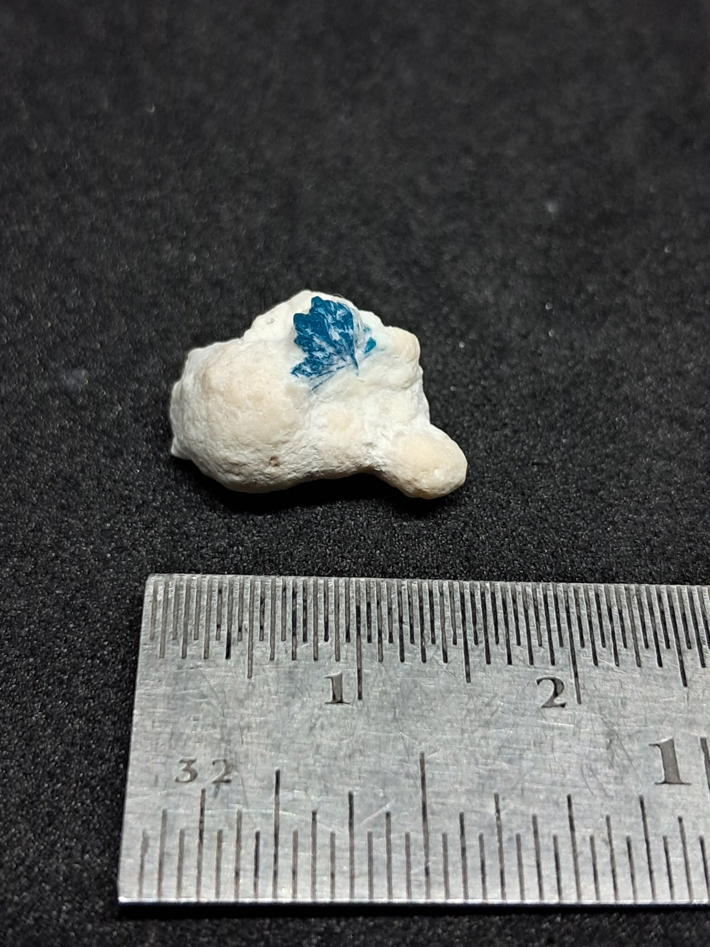 Floater Cavansite in Okenite Ball (Pune) Rough Stone | Natural Crystal | Rare Mineral Specimen #CV24
