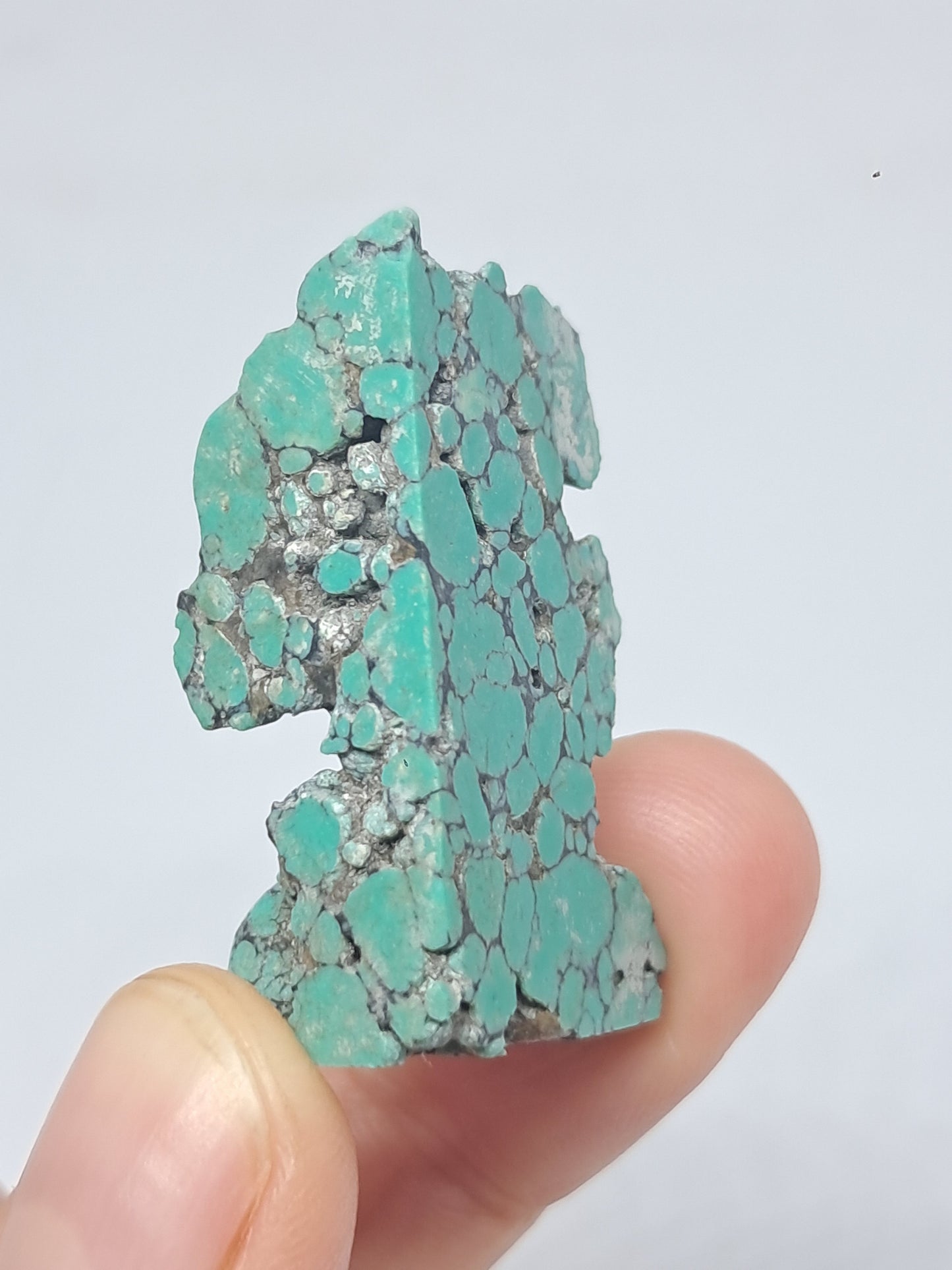 Tibetan Turquoise Stabilized Natural Stone | Mineral Specimen #TT9