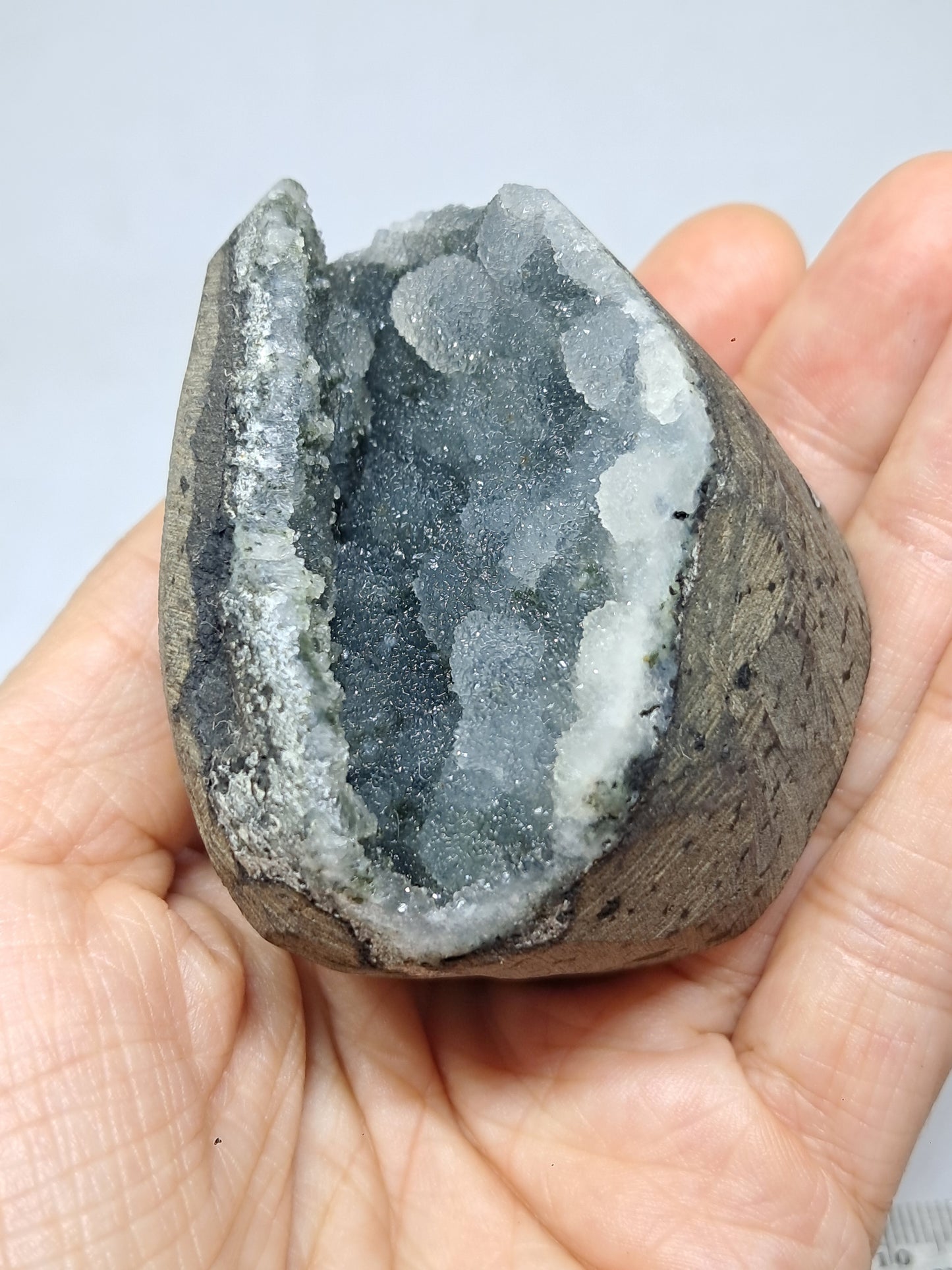 Botryoidal Black Chalcedony in Basalt Geode (Nashik) | Natural Crystal | Rare Specimen #BC9