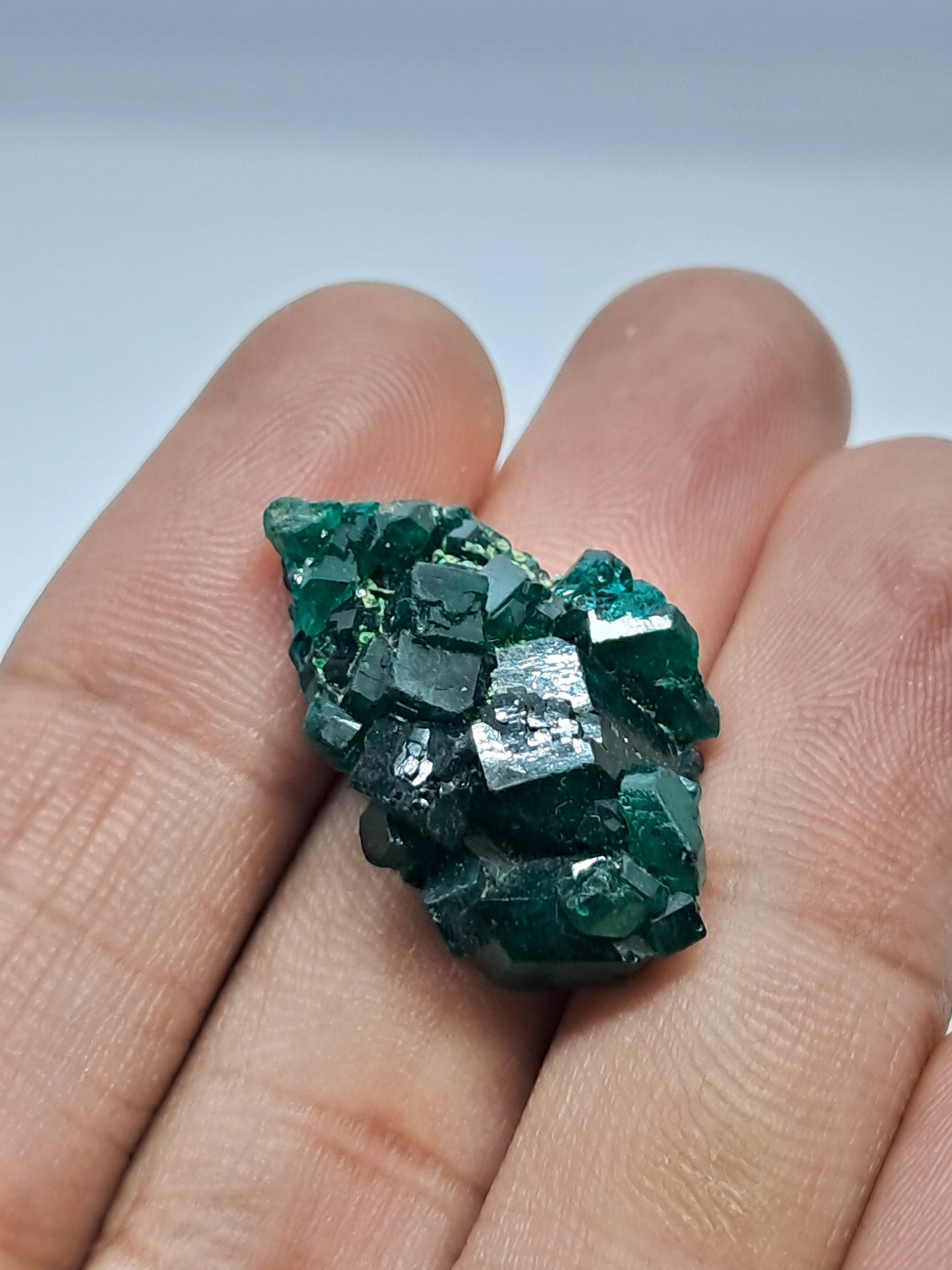 Dioptase (Democratic Republic of Congo) Natural Cluster | Rough Crystal | Mineral Specimen #DPT3
