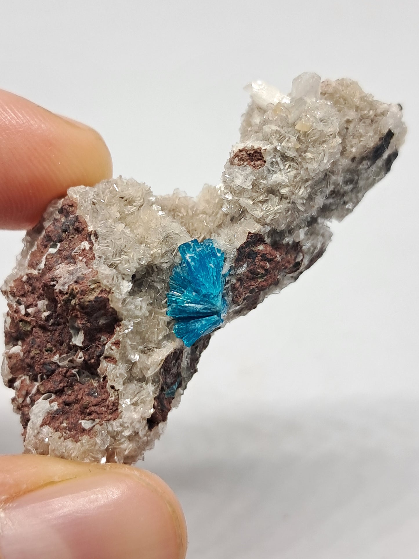 Cavansite on Heulandite Matrix (Wagholi) Rough Stone | Natural Crystal | Rare Mineral Specimen #CV15