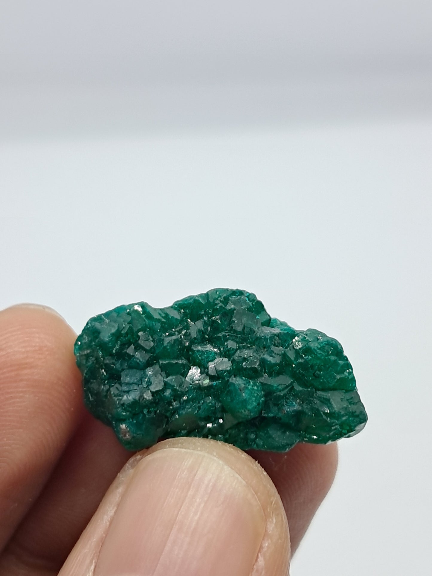 Dioptase (DRC) Natural Cluster | Rough Crystal | Mineral Specimen #DPT6