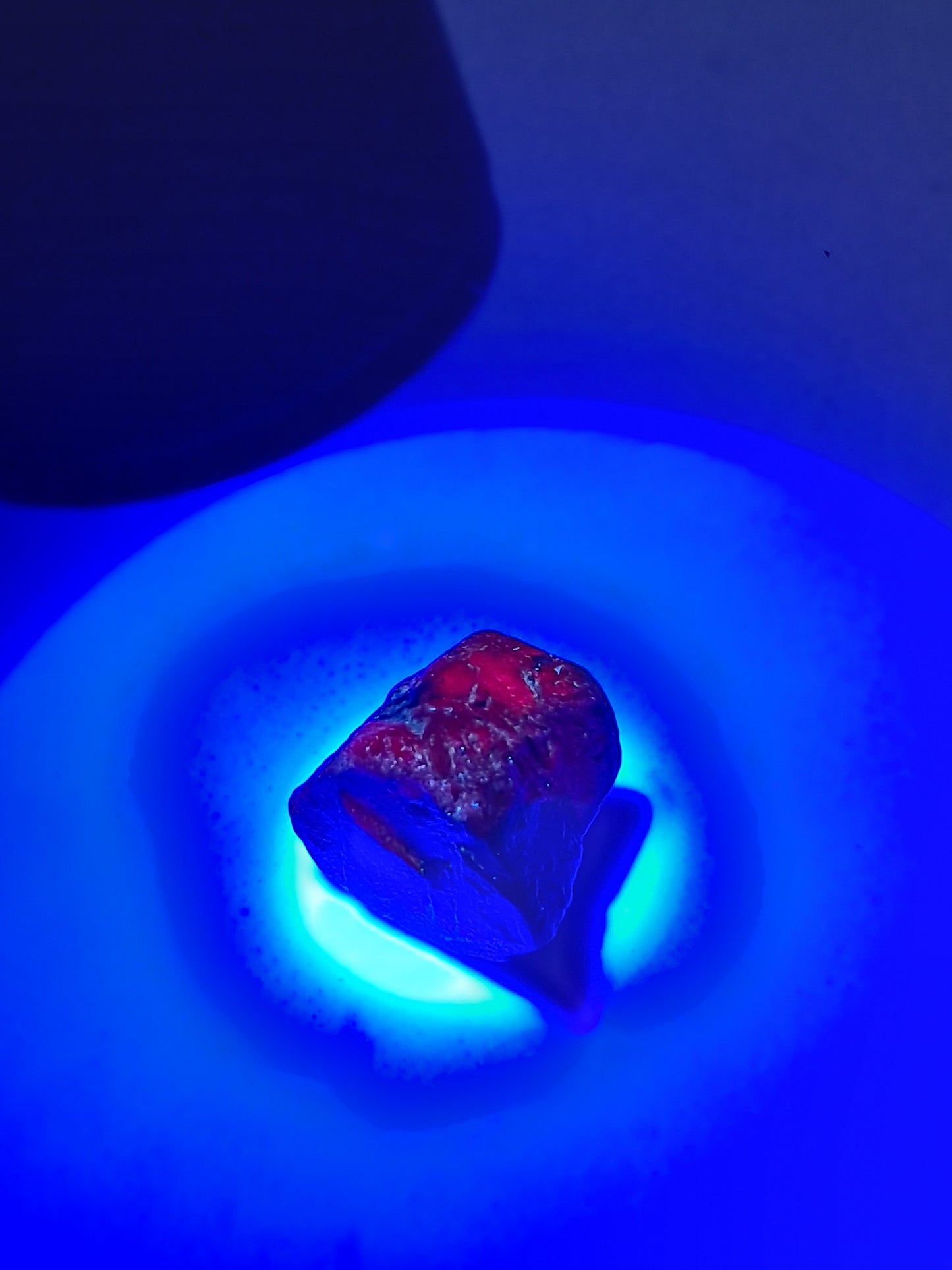 Cristal de Rubí en Bruto con Record Keeper (Tamil Nadu) Piedra Natural | Espécimen Mineral #RB17