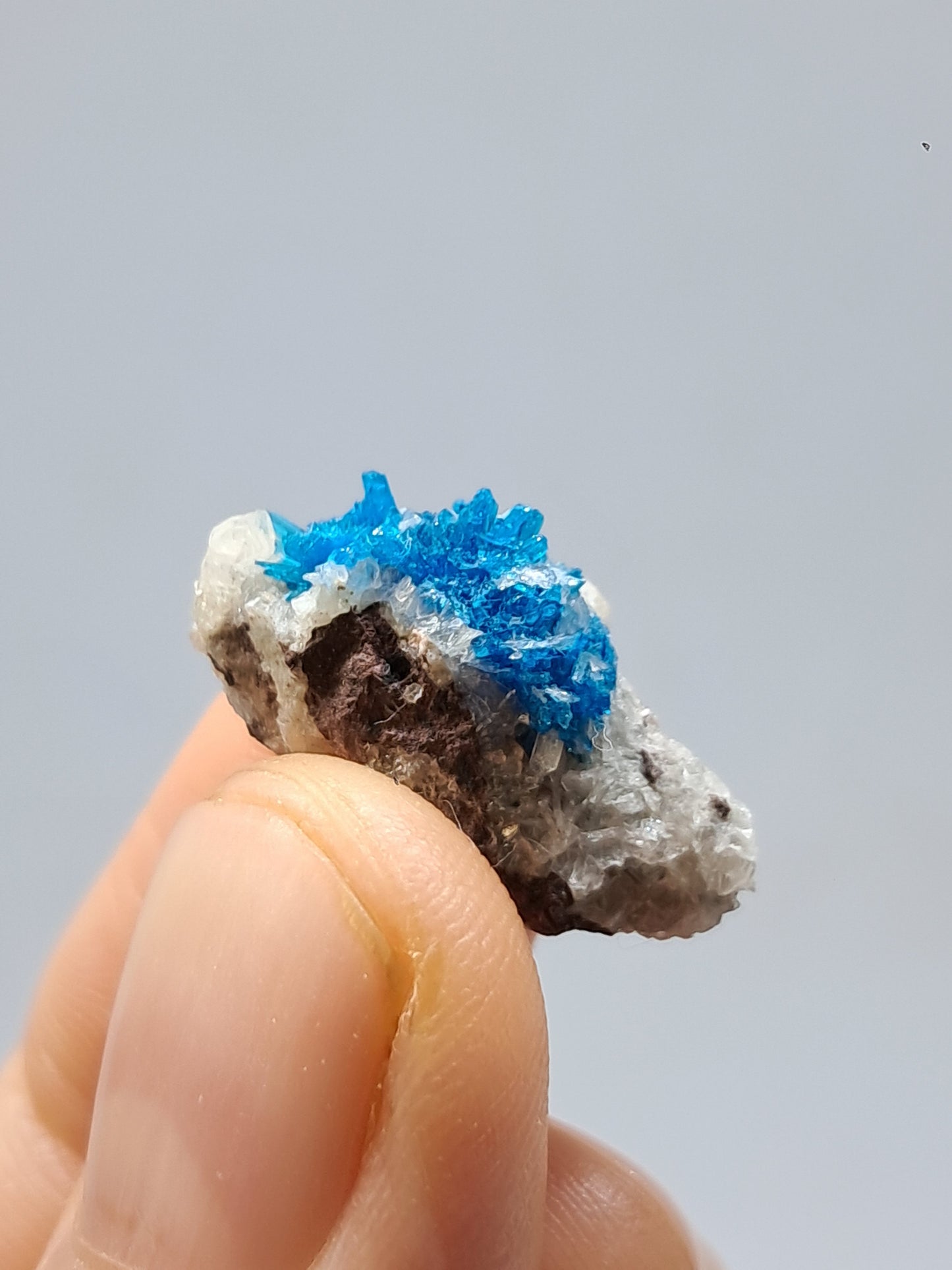 Set of Cavansite & Pentagonite on Matrix (Wagholi) Rough Stone | Natural Crystal | Rare Mineral Specimen #CV40