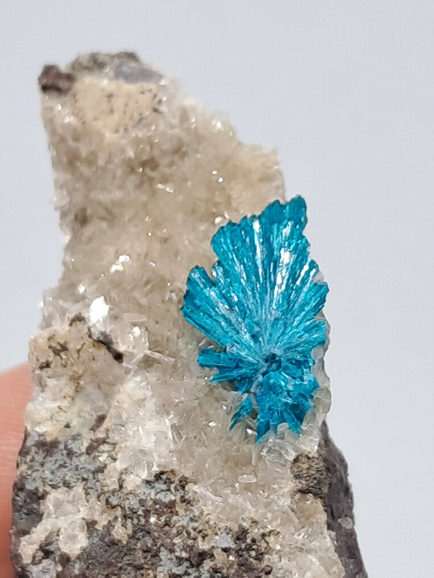 Cavansite on Heulandite Matrix (Wagholi) Rough Stone | Natural Crystal | Rare Mineral Specimen #CV16
