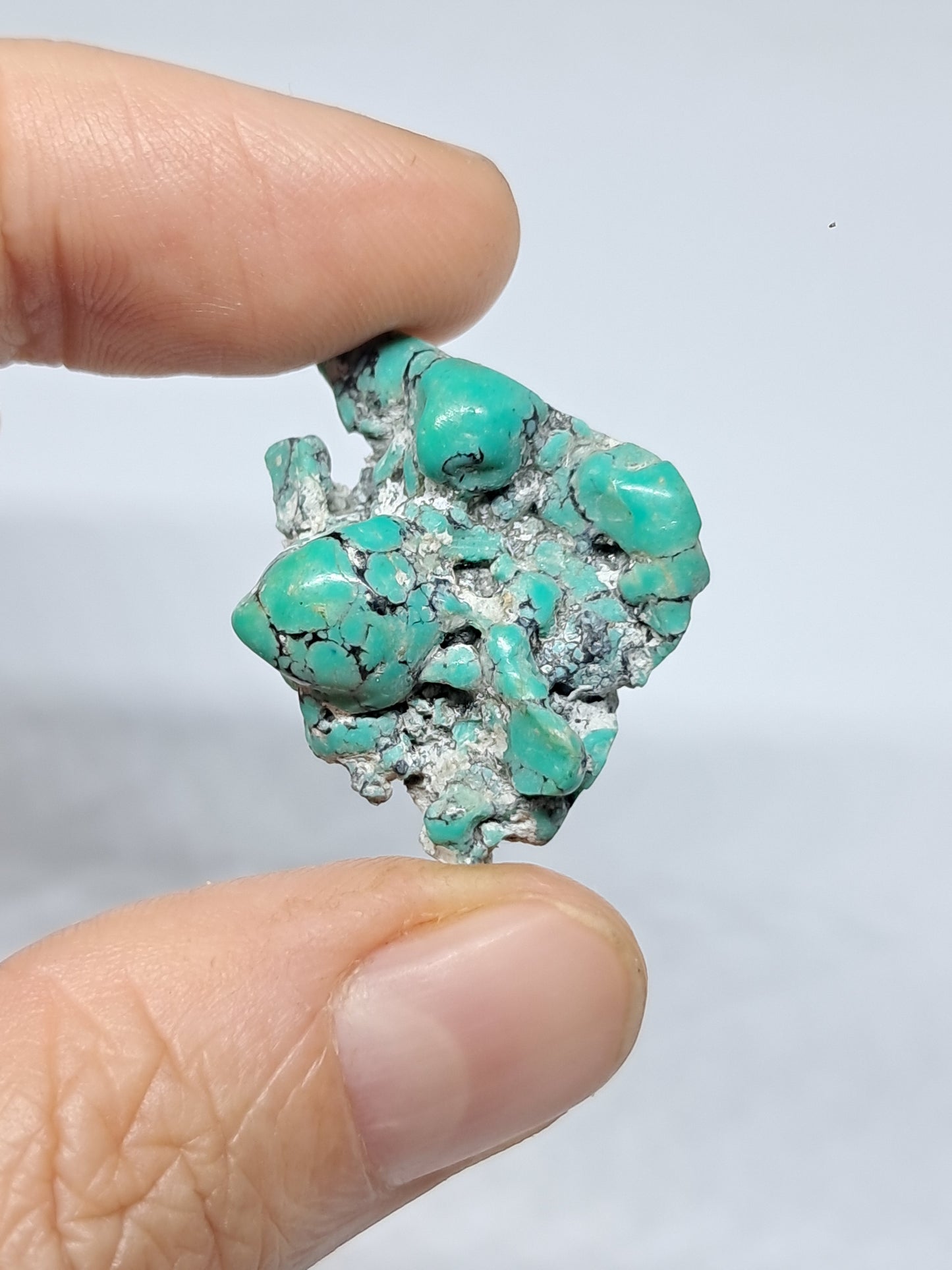 Tibetan Turquoise Stabilized Natural Stone | Mineral Specimen #TT8