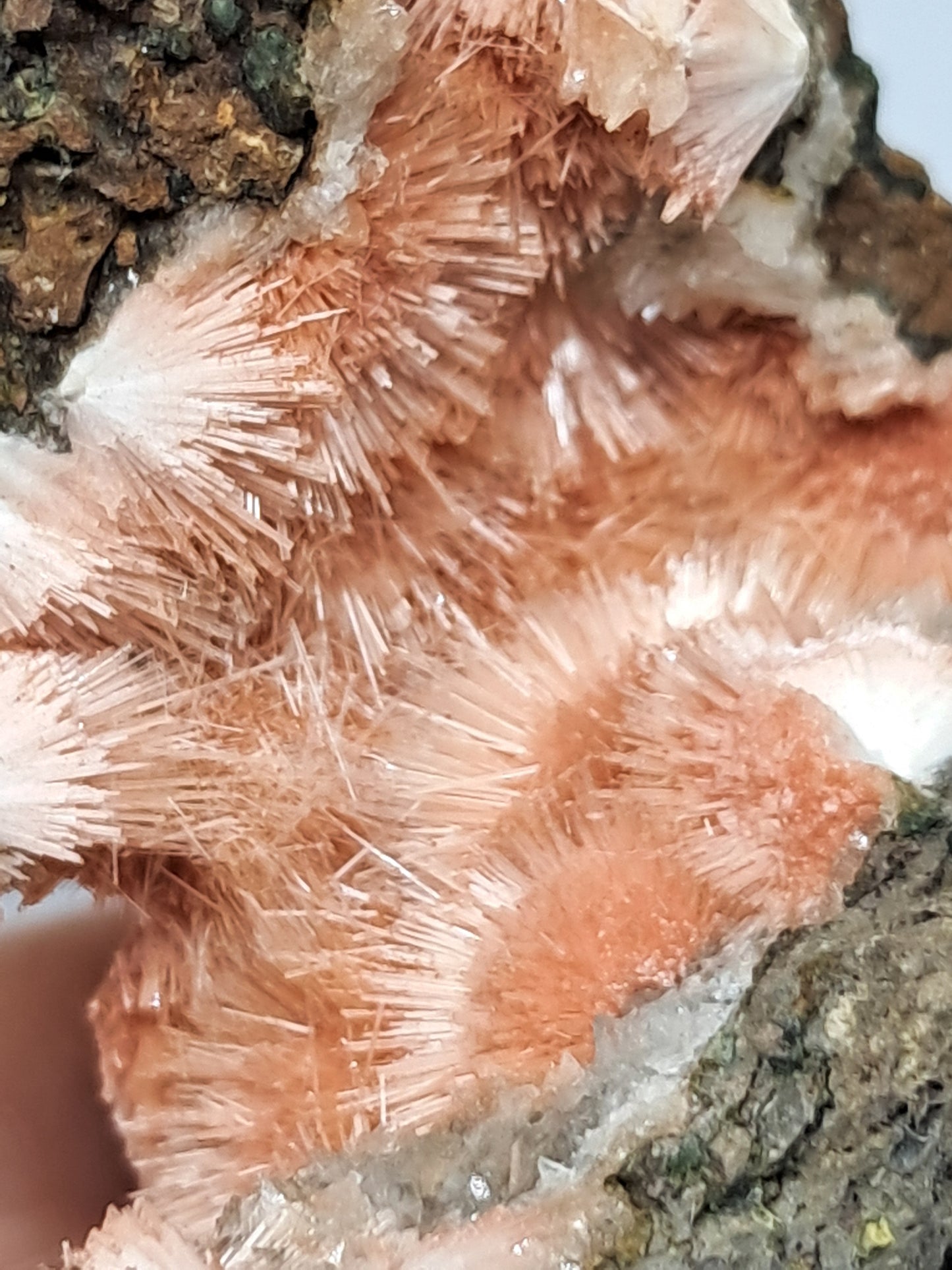 Mesolite w/ Hematite Inclusion (Madhya Pradesh) Natural Crystal| Mineral Specimen #MS2