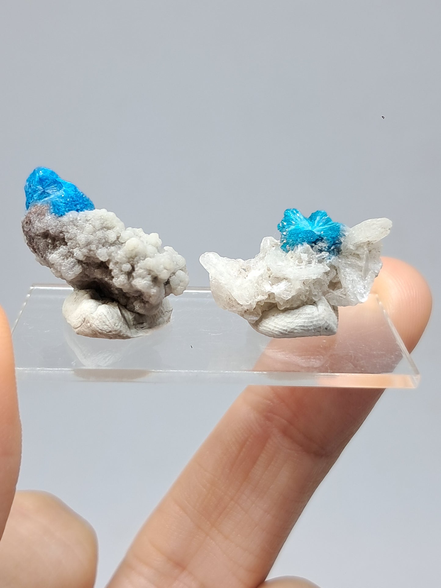 Set of Cavansite & Pentagonite on Matrix (Wagholi) Rough Stone | Natural Crystal | Rare Mineral Specimen #CV41