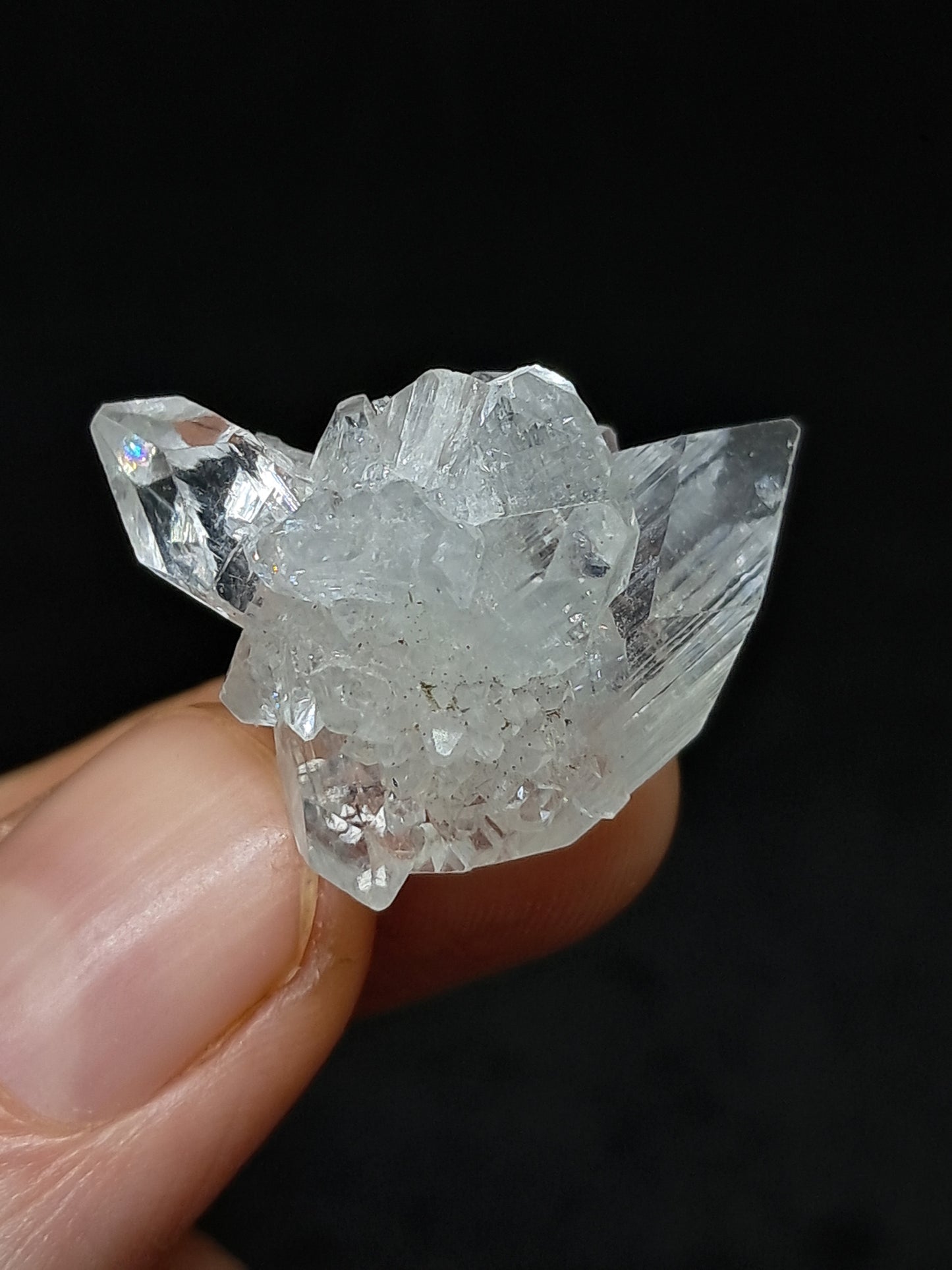 Clear Apophyllite Cluster (Ajanta) Natural Crystal | Mineral Specimen #AP59