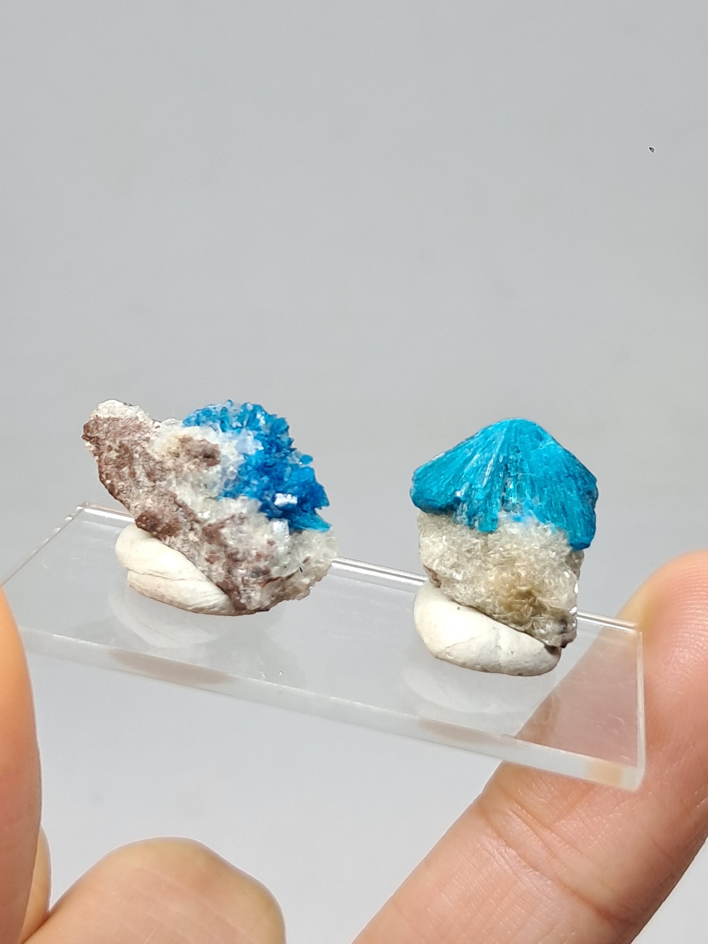 Set of Cavansite & Pentagonite on Matrix (Wagholi) Rough Stone | Natural Crystal | Rare Mineral Specimen #CV40