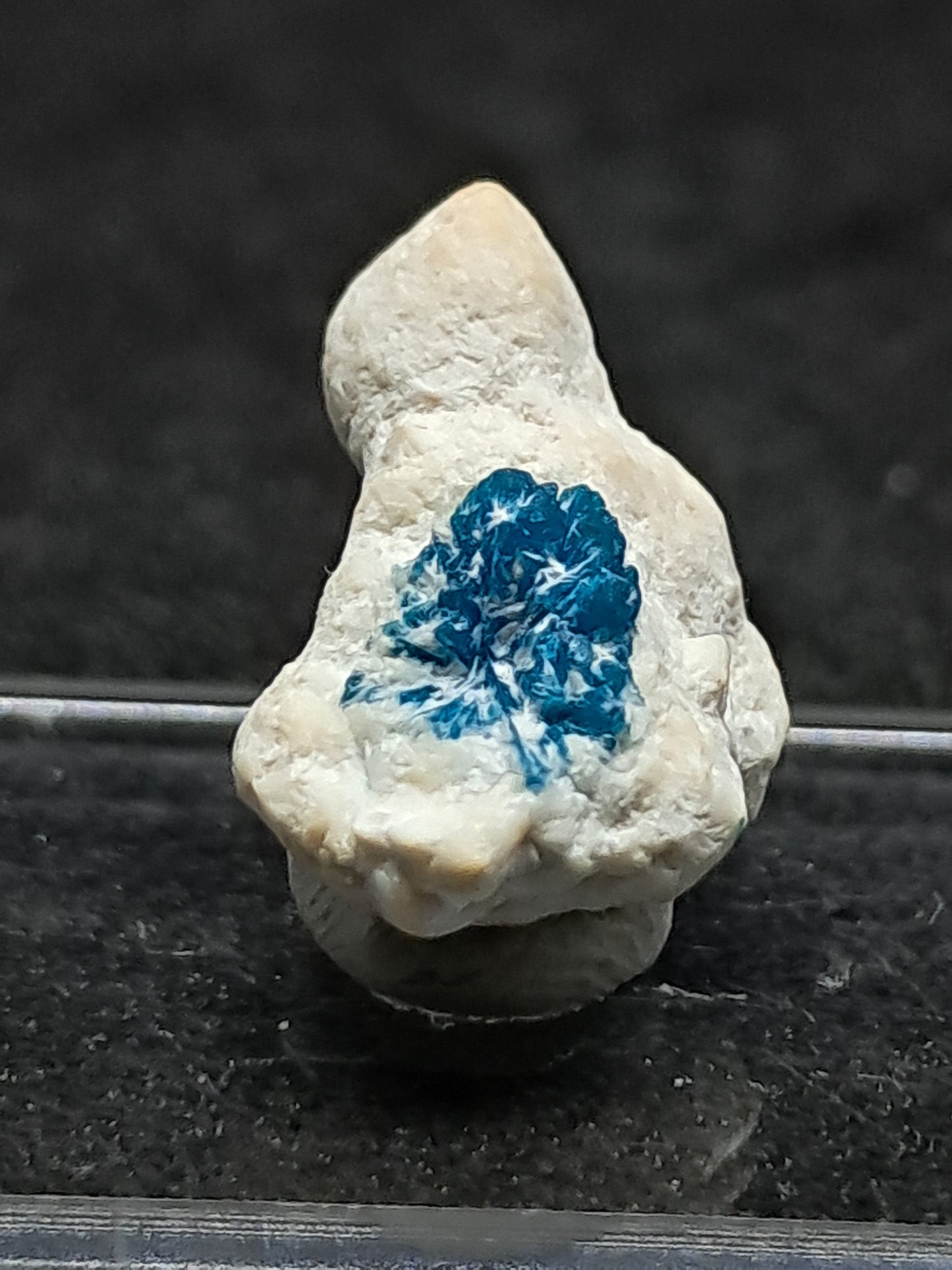 Floater Cavansite in Okenite Ball (Pune) Rough Stone | Natural Crystal | Rare Mineral Specimen #CV23