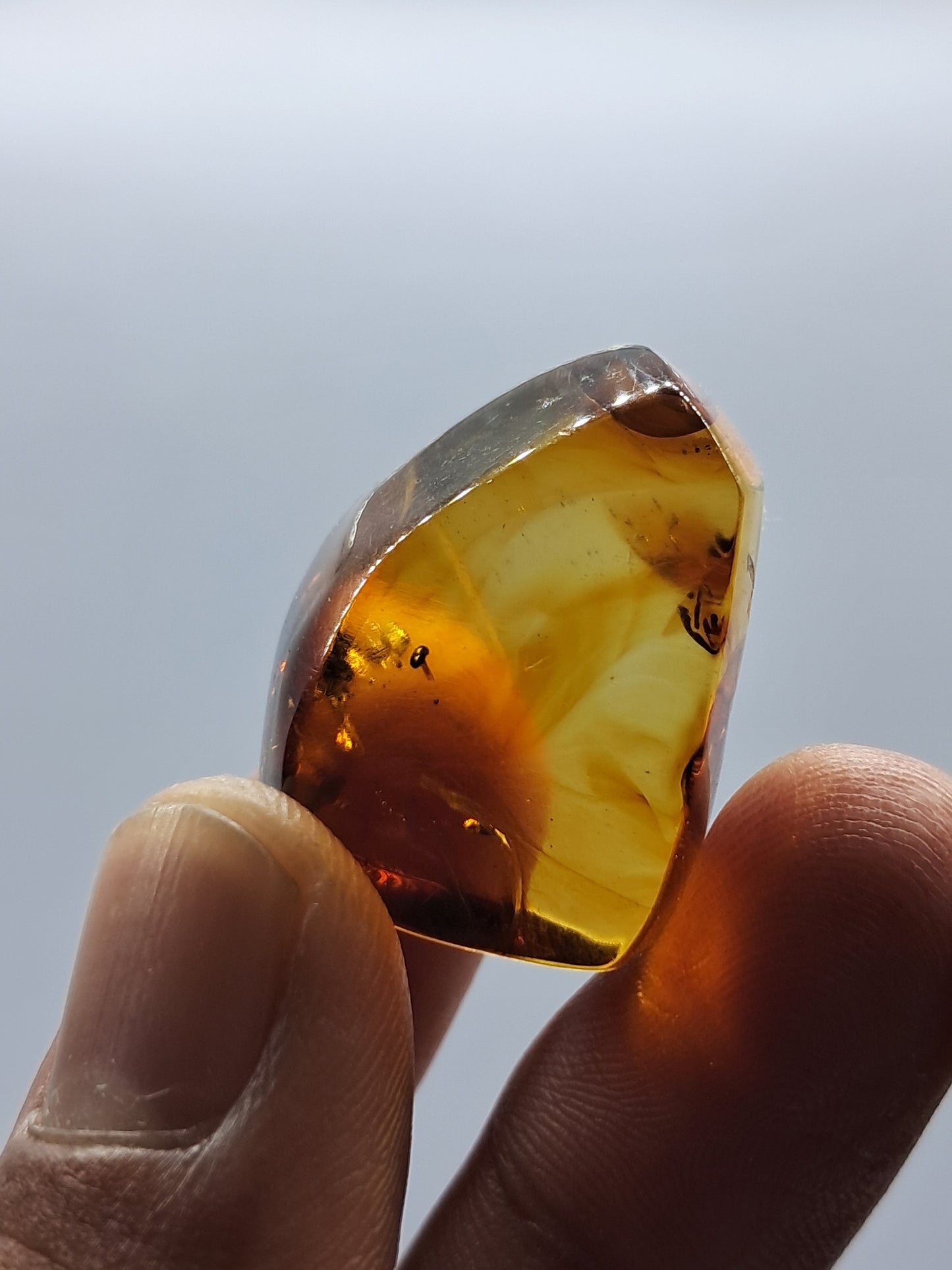 Polished Amber (Mexico) Natural Fossilized Resin | Mineral Specimen #AB3