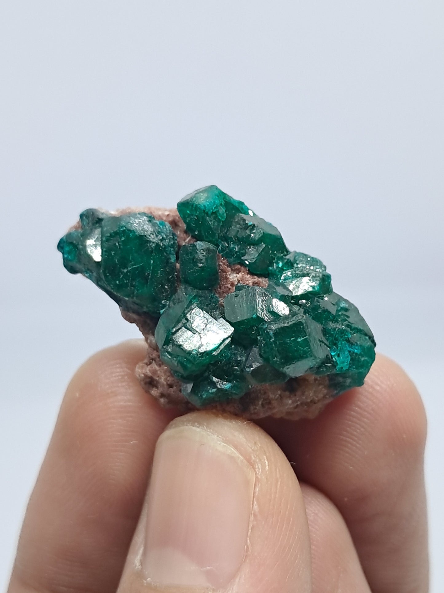 Dioptase (Democratic Republic of Congo) Natural Cluster | Rough Crystal | Mineral Specimen #DPT9