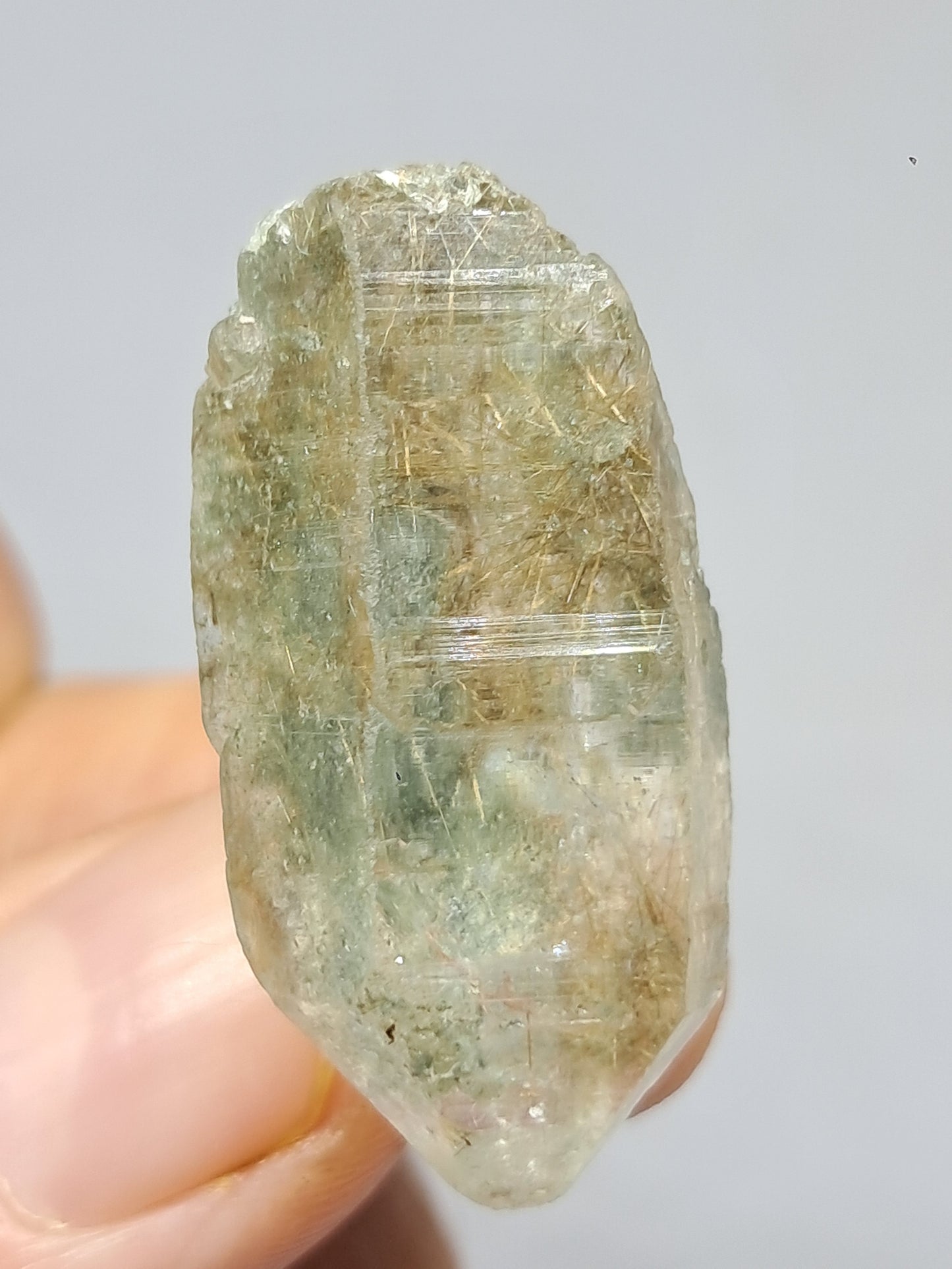 Quartz w/ Chlorite and Golden Rutile Inclusions (Kullu) Rough Stone | Natural Crystal Point | Mineral Specimen #CH47