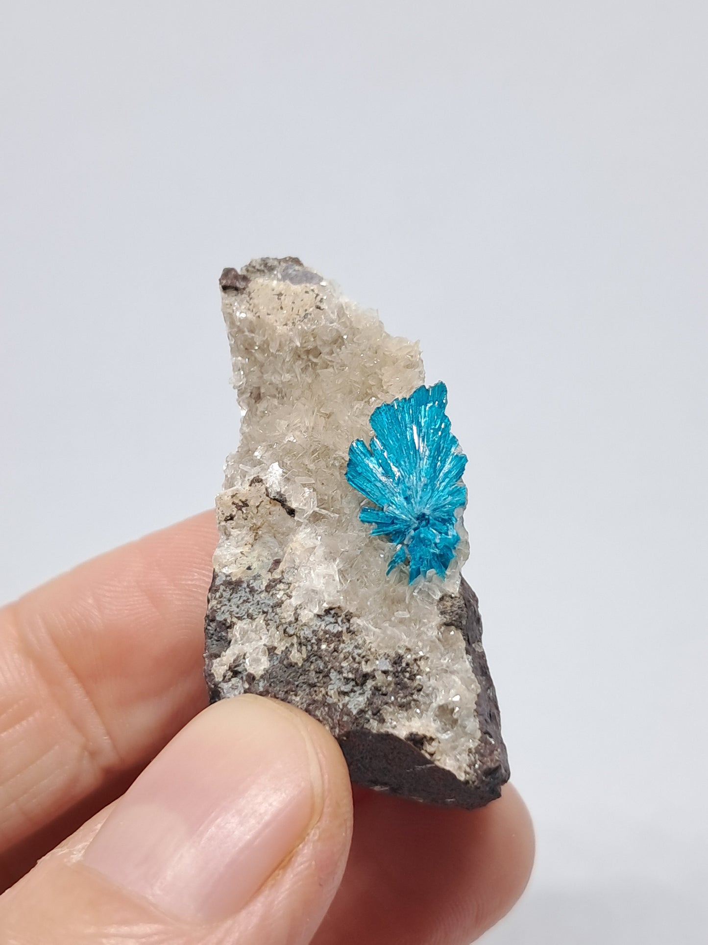 Cavansite on Heulandite Matrix (Wagholi) Rough Stone | Natural Crystal | Rare Mineral Specimen #CV16