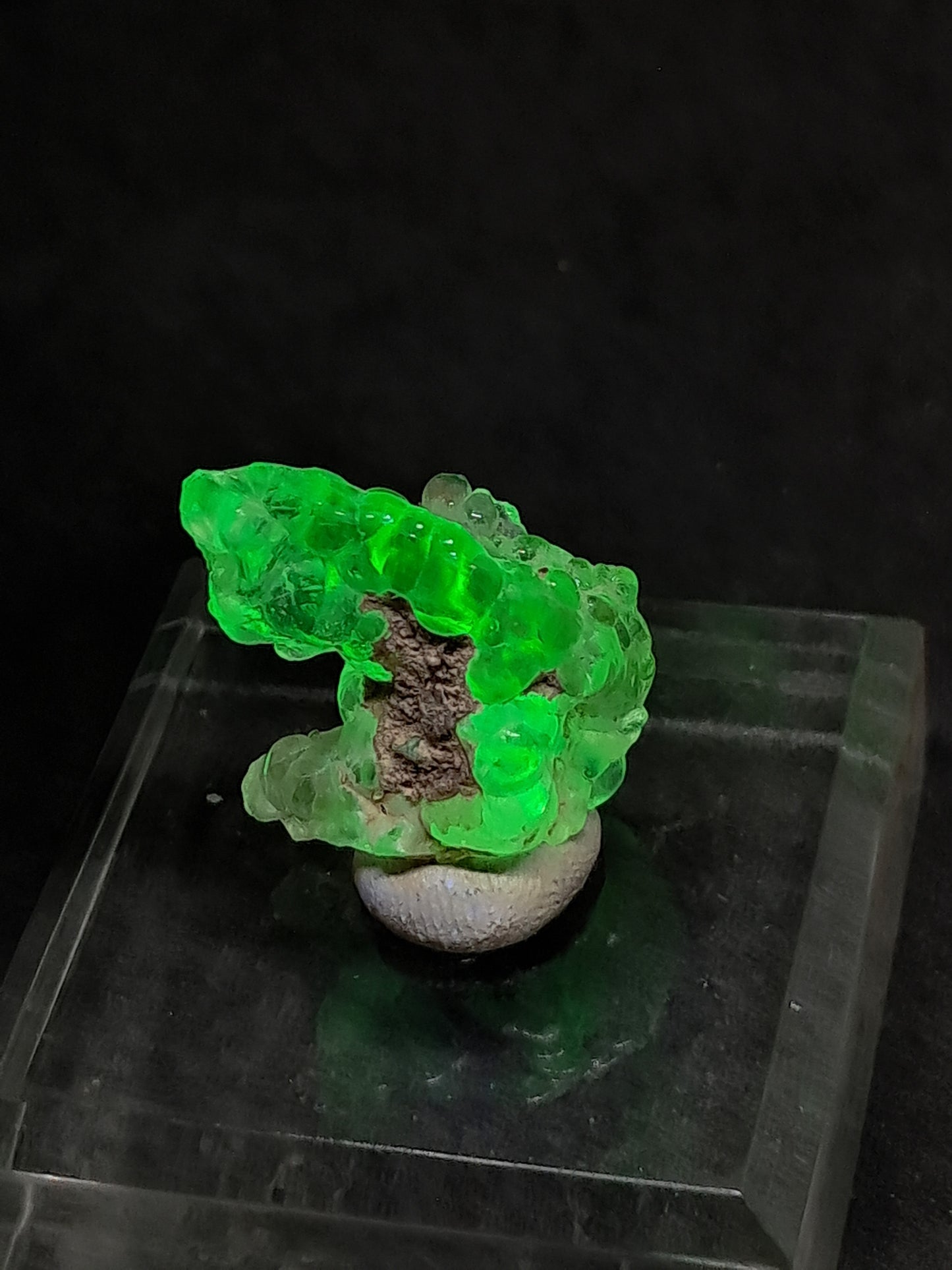 Ópalo hialita (México) Piedra de cristal en bruto | Ejemplar mineral n.° OH8