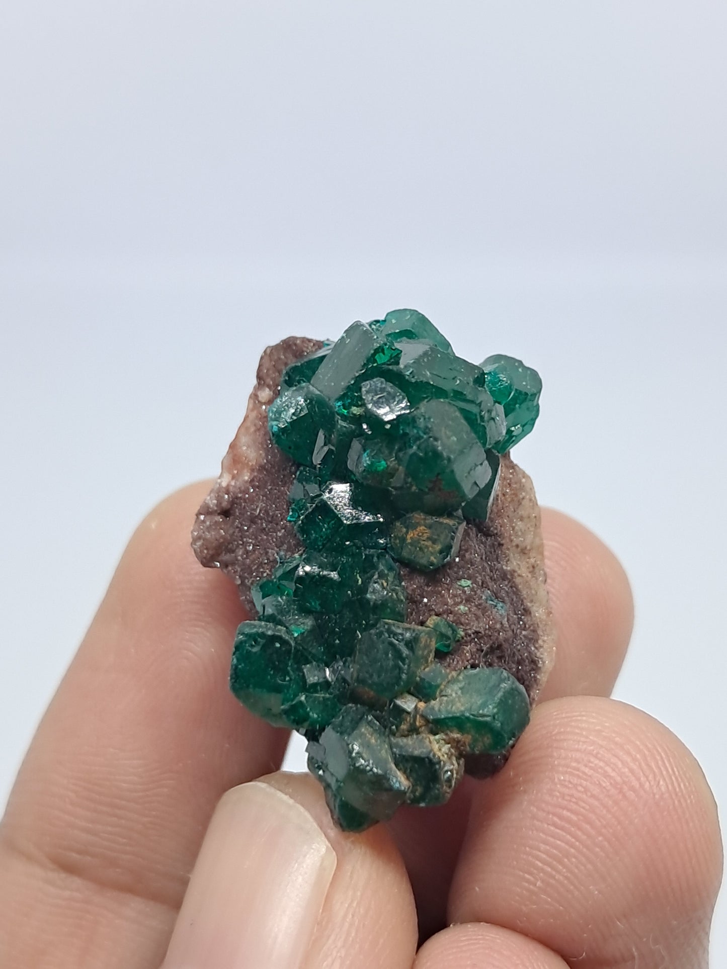 Dioptase on Matrix (Democratic Republic of Congo) Natural Cluster | Rough Crystal | Mineral Specimen #DPT10