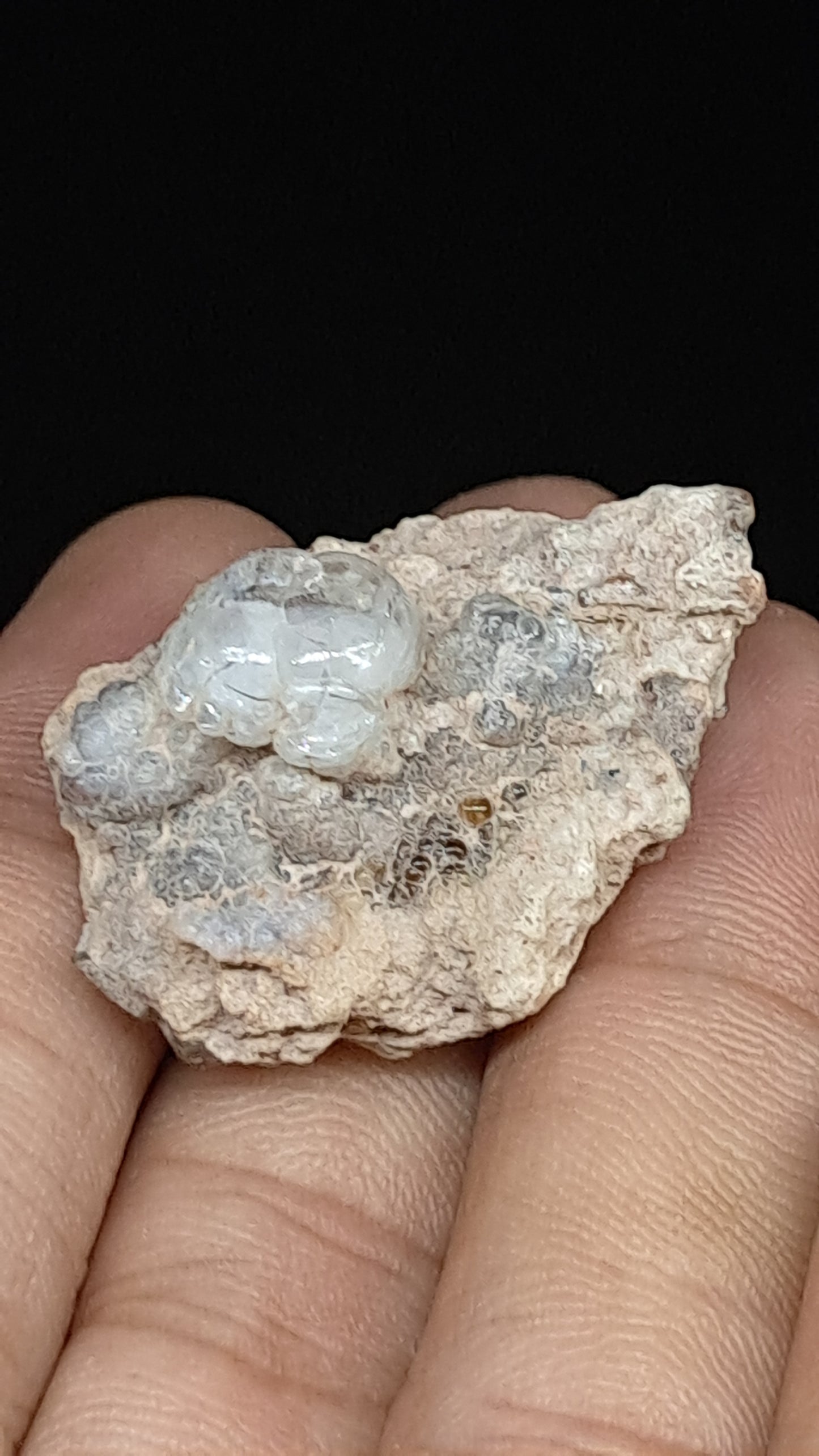Hyalite Opal on Matrix (Mexico) Rough Crystal Stone | UV-Reactive Mineral Specimen #OH1