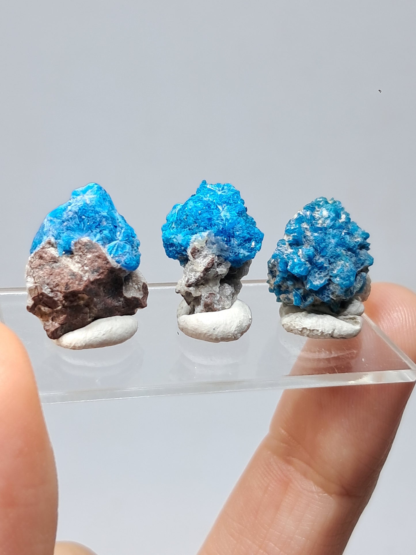 Conjunto de 3 pentagonitas en matriz (wagholi) en bruto | Cristal natural | Ejemplar mineral raro n.° CV43