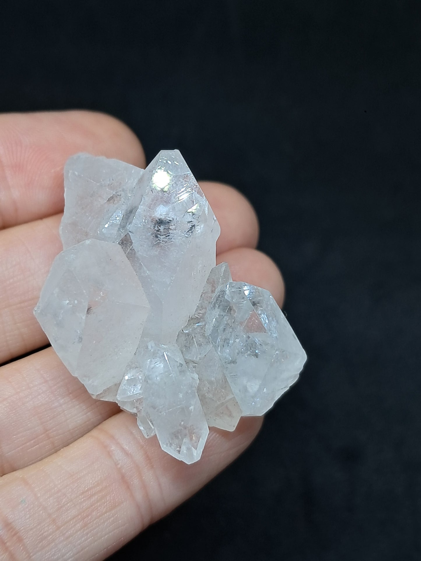 Clear Apophyllite Cluster (Ajanta) Natural Crystal | Mineral Specimen #AP49