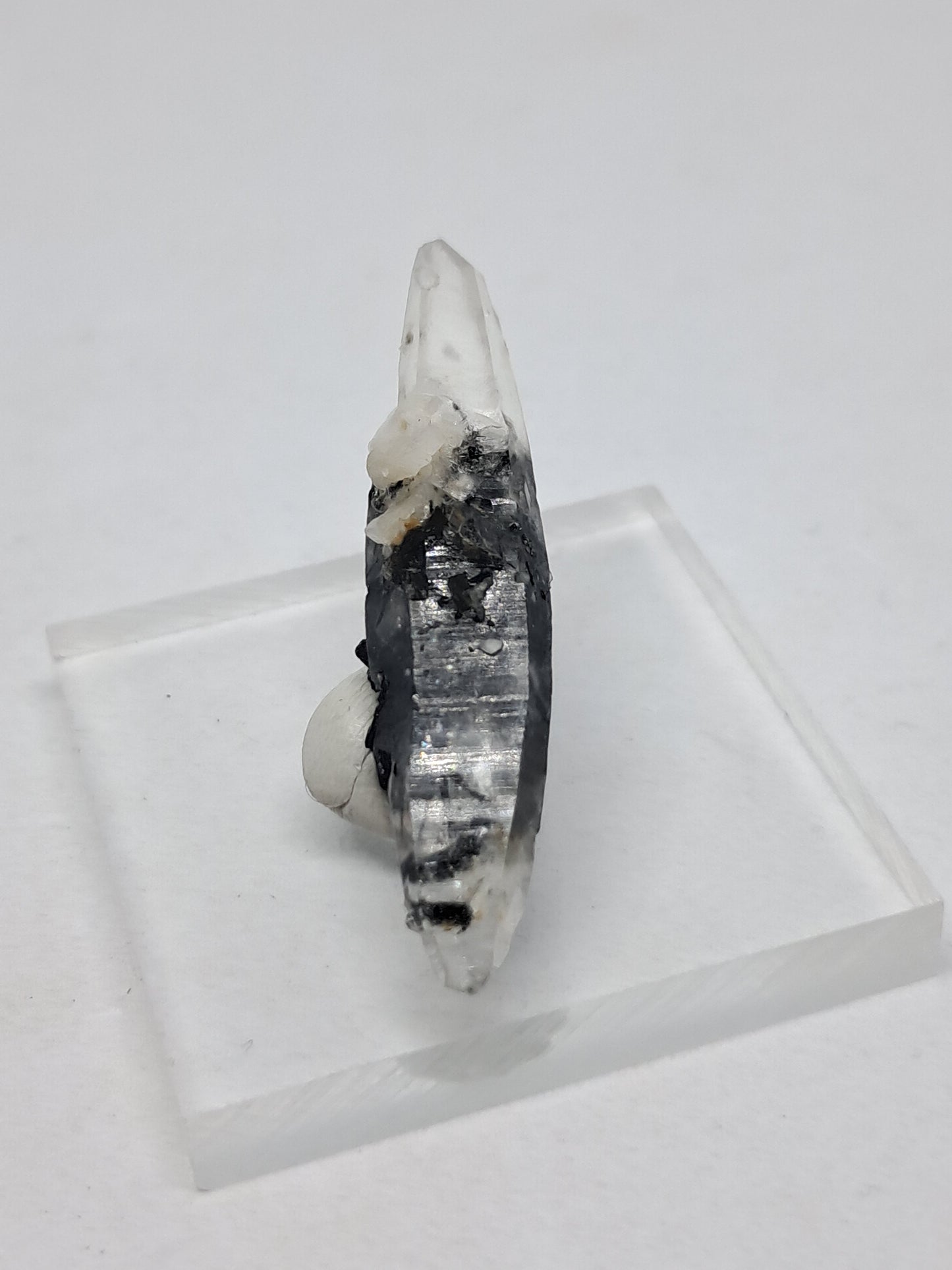 Tourmalinated Quartz biterminated point (Non-precious natural stone) #TQ16