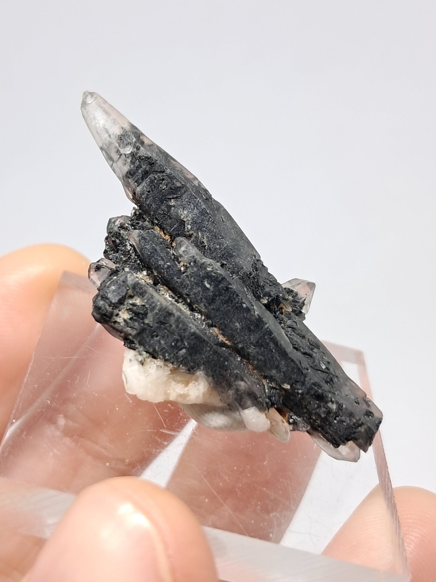 Tourmalinated Quartz Natural Crystal Point (Non-precious stone) #TQ22