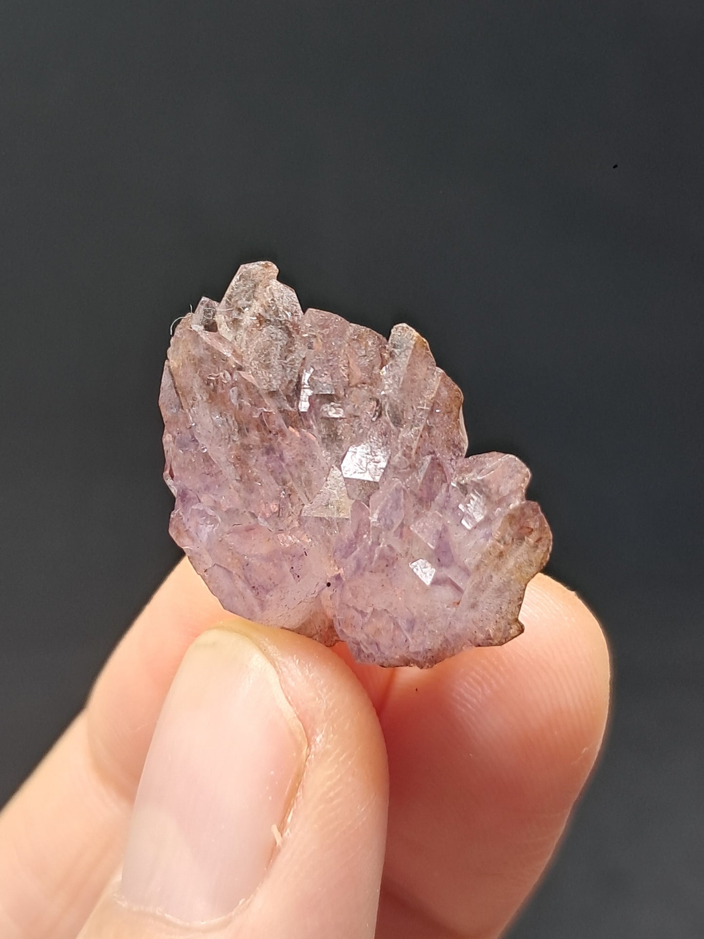 Cúmulo de Amatista en Cetro con inclusiones "Super Seven" (Karur) | Piedra Natural | Ejemplar Mineral n.° KA92