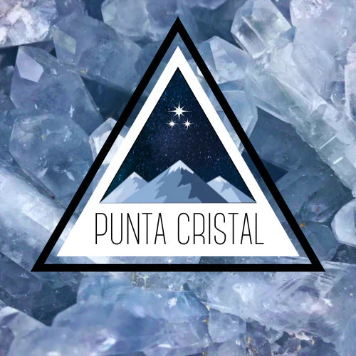 Our Vision and The Meaning Behind Our Logo