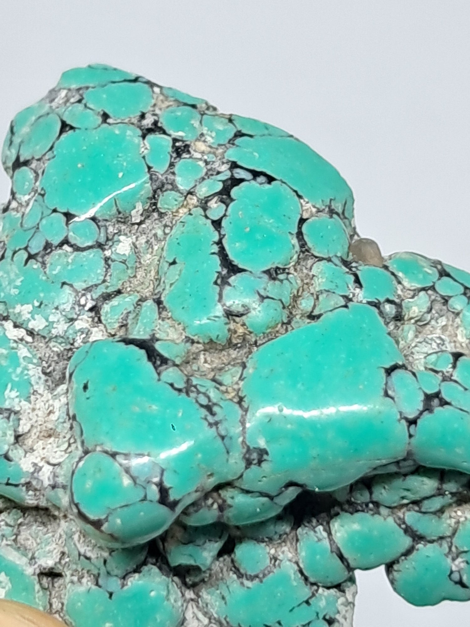 Tibetan Turquoise