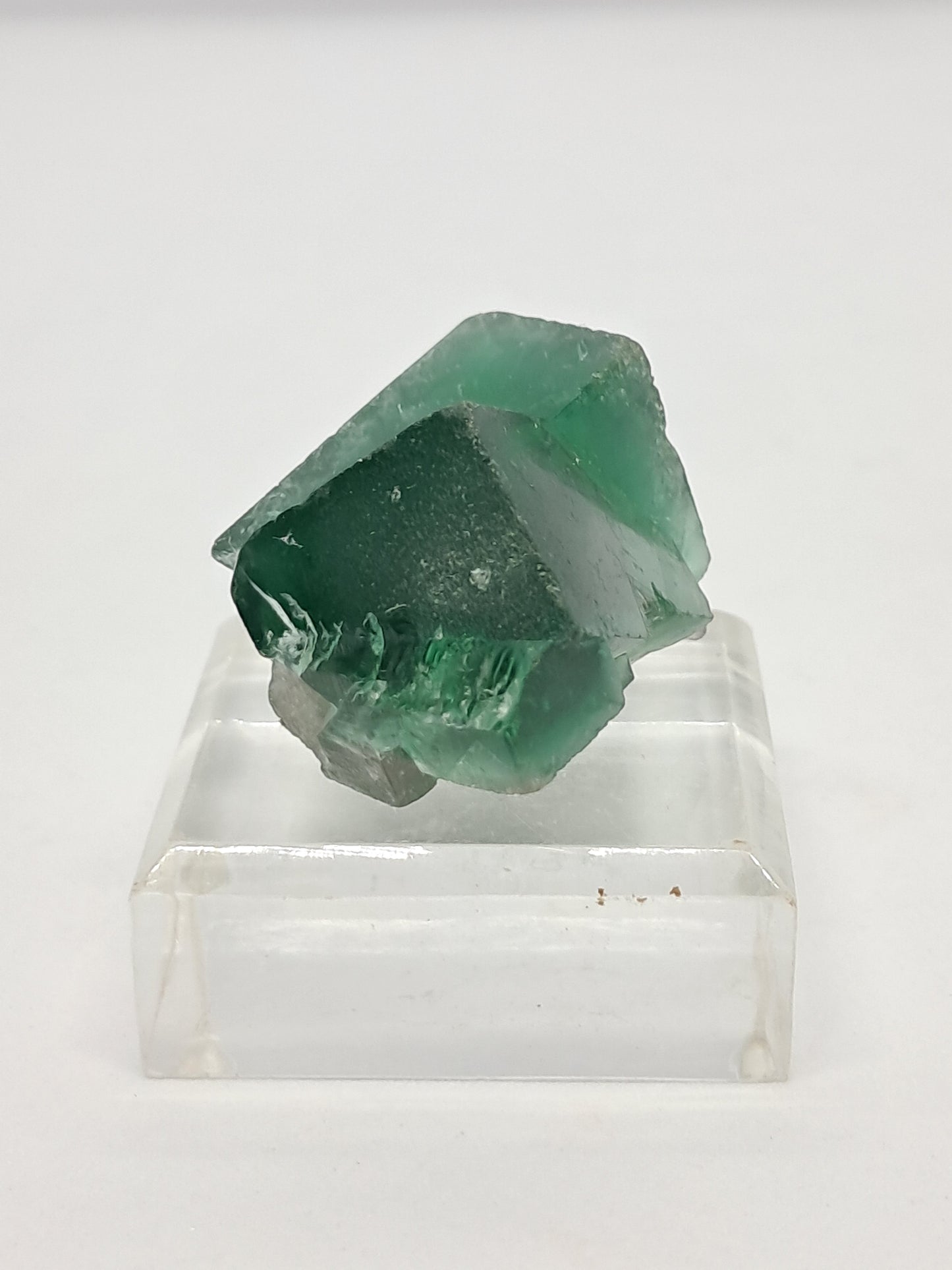 UV Reactive Fluorite (Durham, UK) Bicolor Natural Crystal | Mineral Specimen #FL1