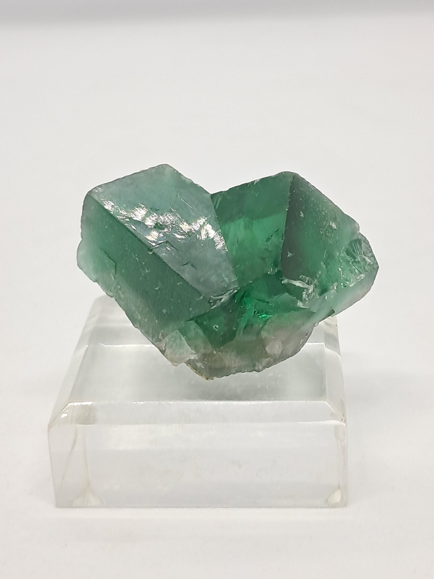UV Reactive Fluorite (Durham, UK) Bicolor Natural Crystal | Mineral Specimen #FL1