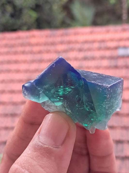 UV Reactive Fluorite (Durham, UK) Bicolor Natural Crystal | Mineral Specimen #FL1