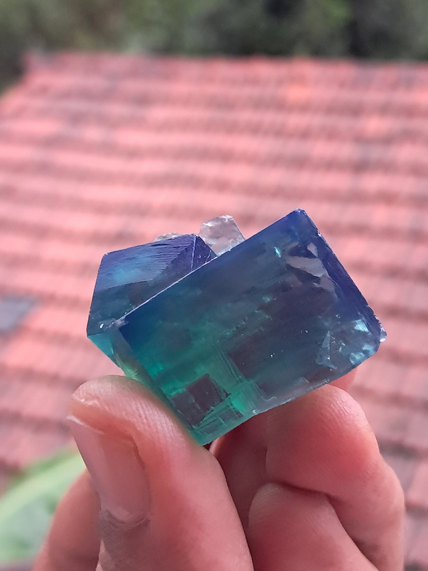 UV Reactive Fluorite (Durham, UK) Bicolor Natural Crystal | Mineral Specimen #FL2