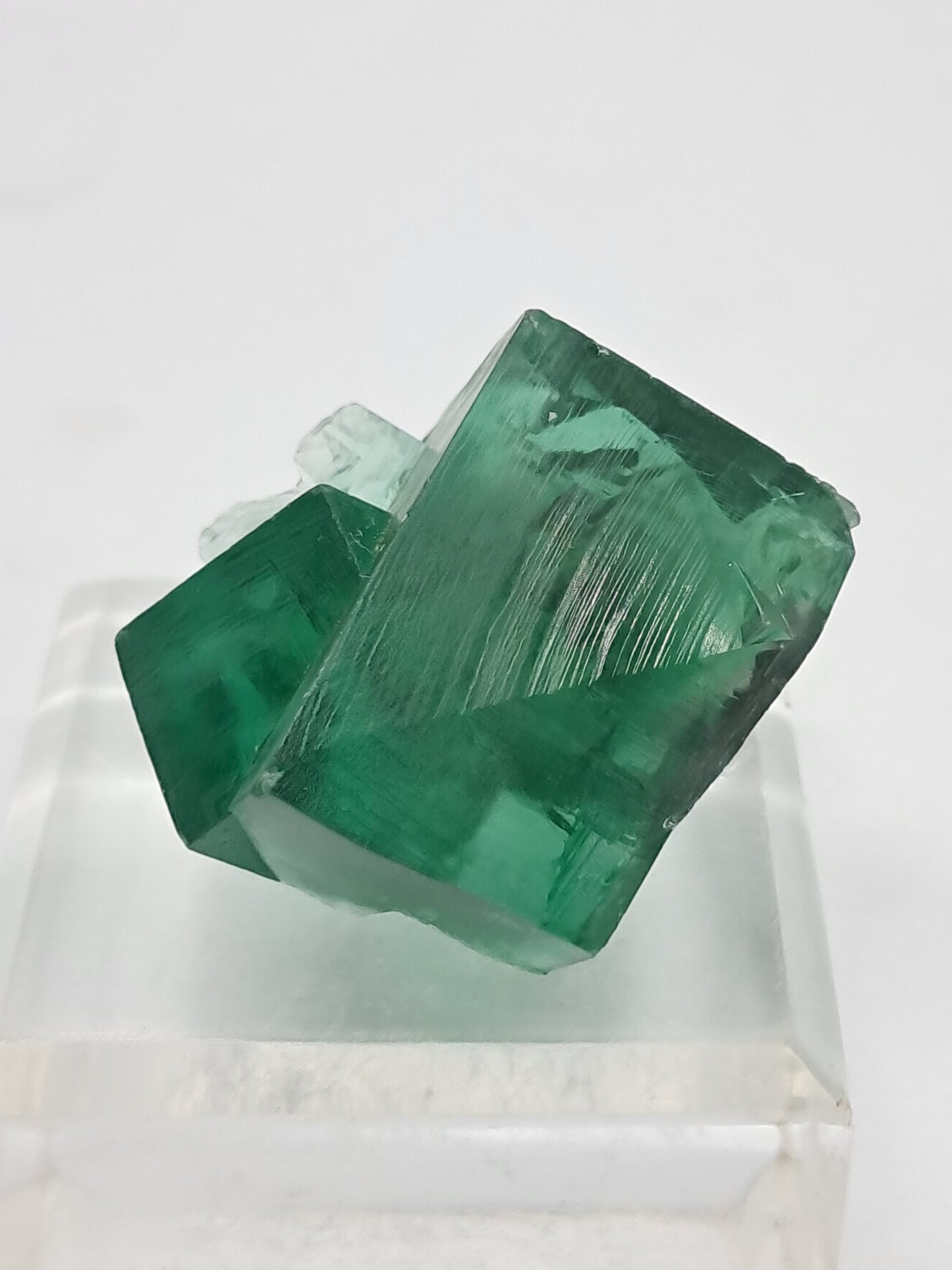 UV Reactive Fluorite (Durham, UK) Bicolor Natural Crystal | Mineral Specimen #FL2