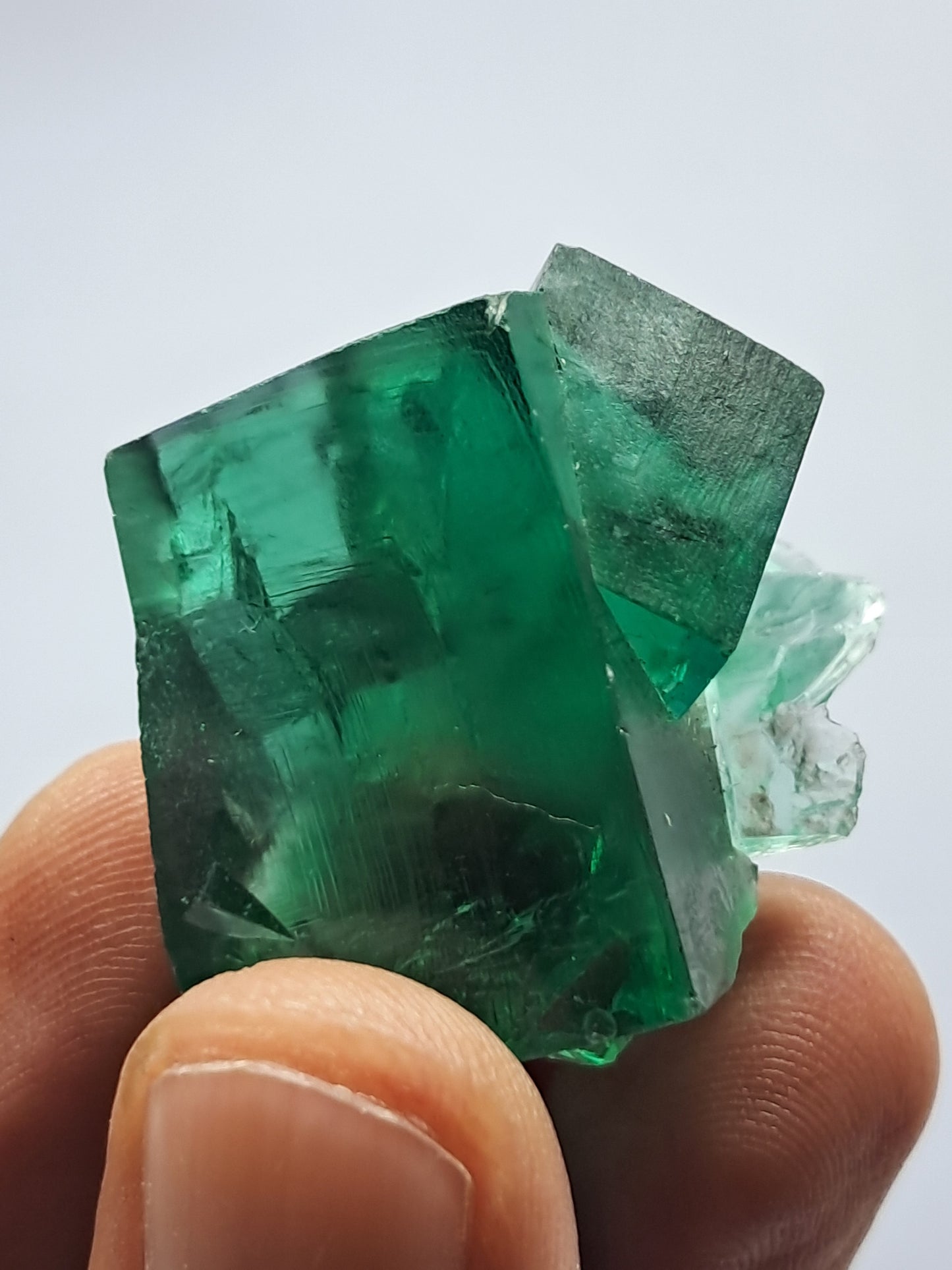 UV Reactive Fluorite (Durham, UK) Bicolor Natural Crystal | Mineral Specimen #FL2